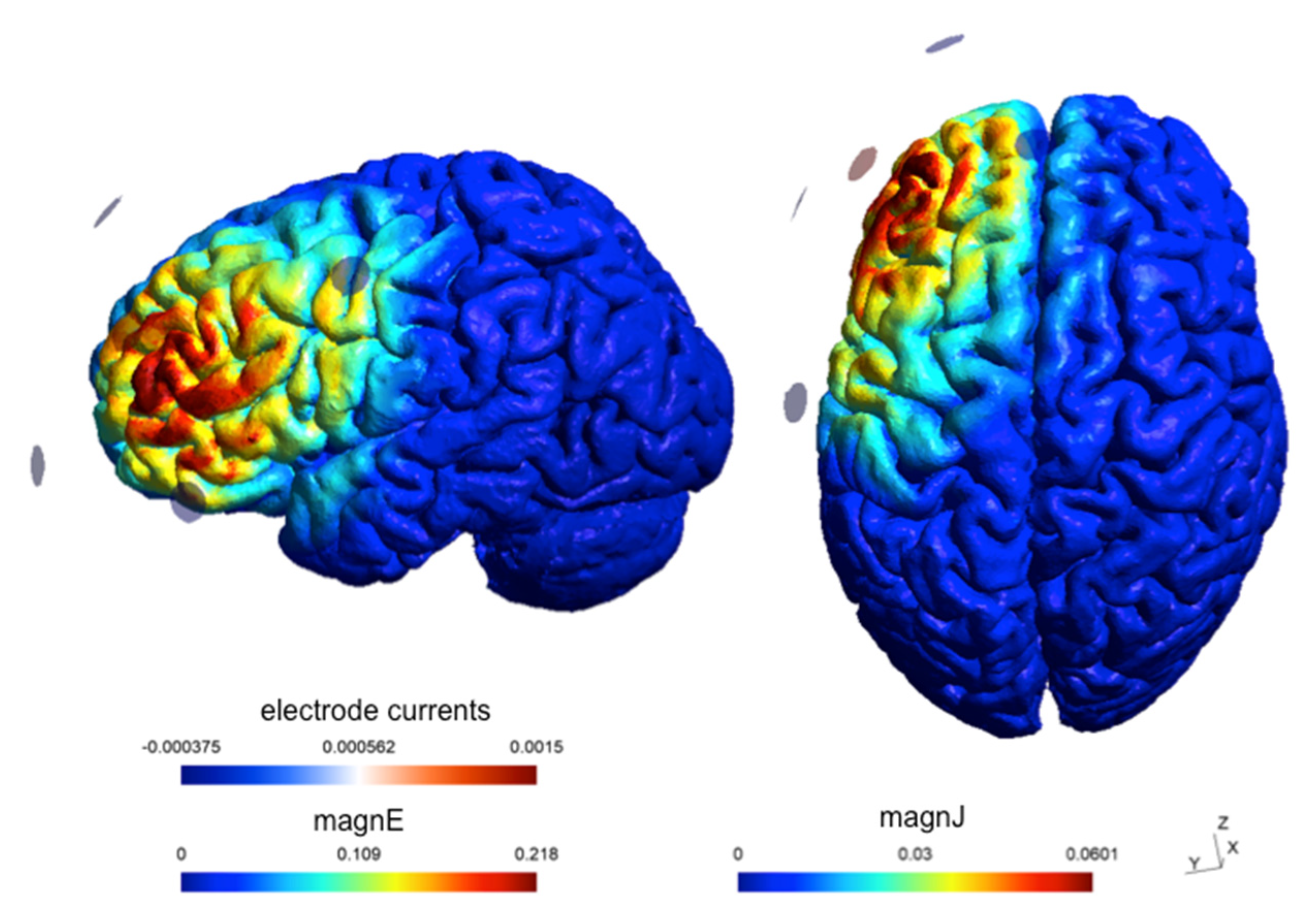 Brainsci 15 00343 g003