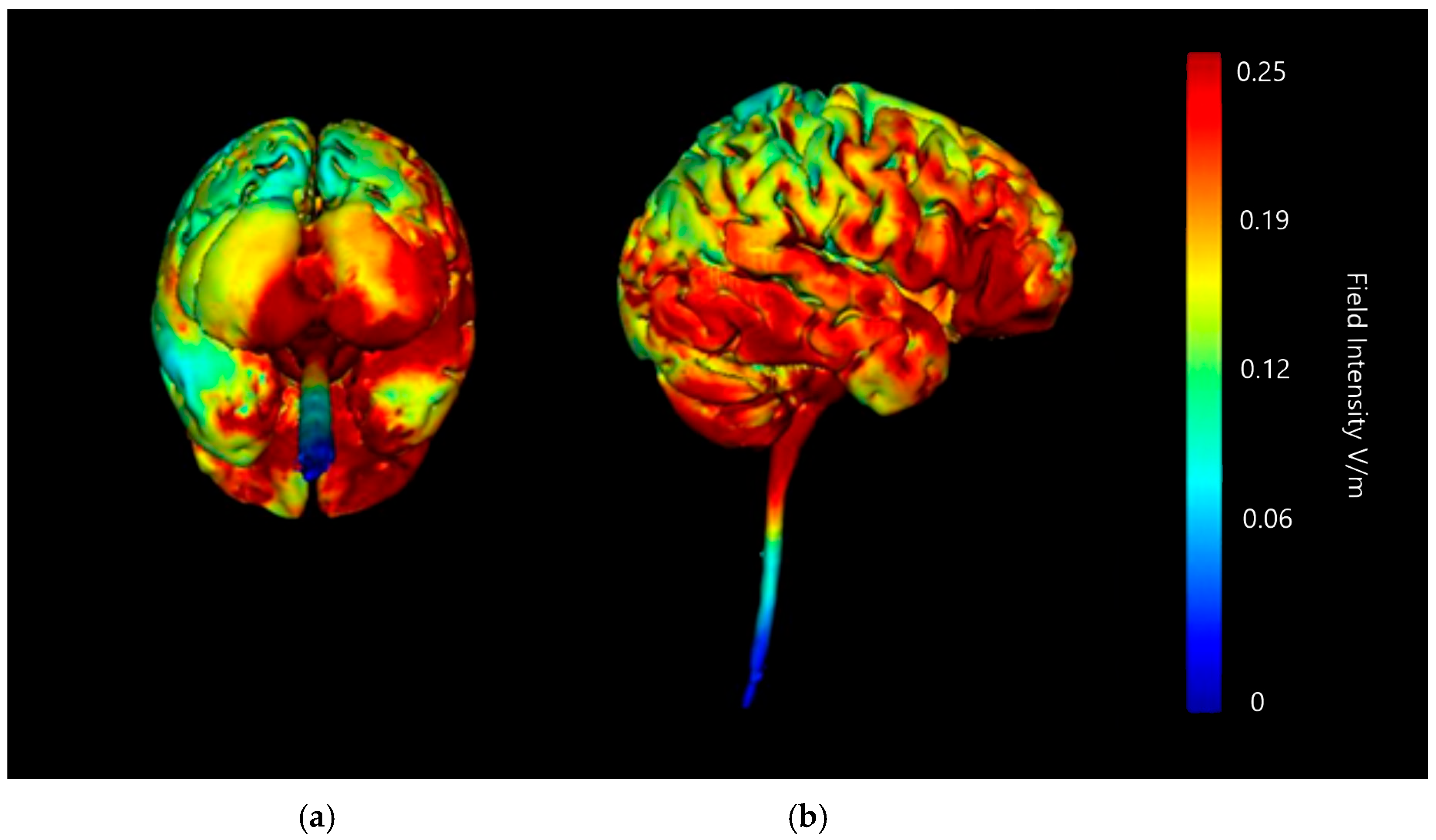 Brainsci 15 00344 g008