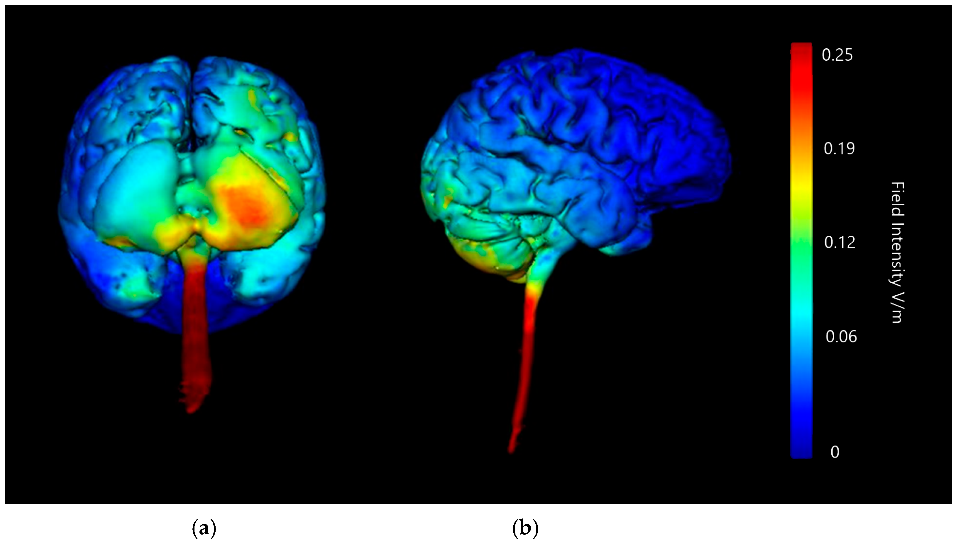 Brainsci 15 00344 g009