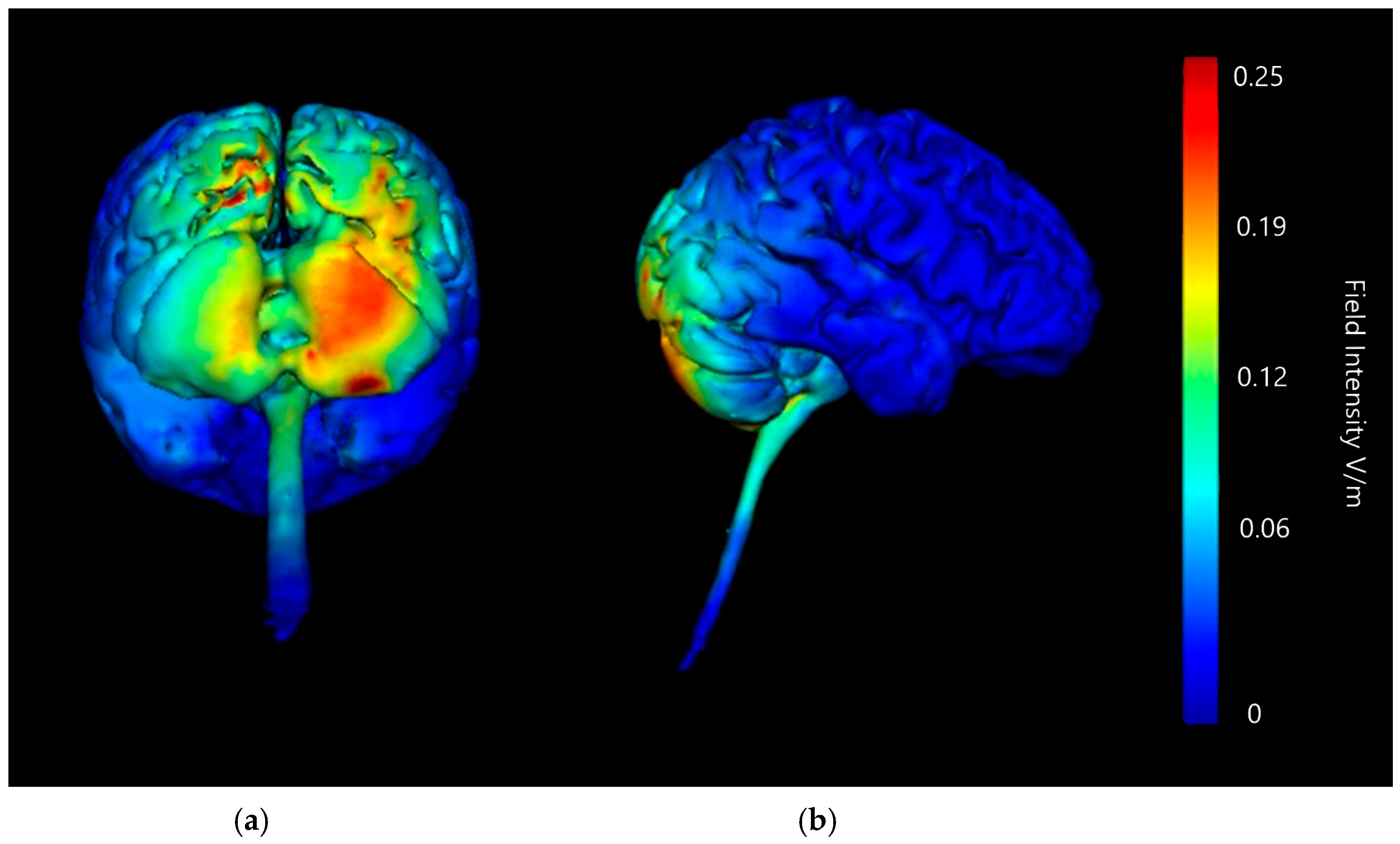 Brainsci 15 00344 g010