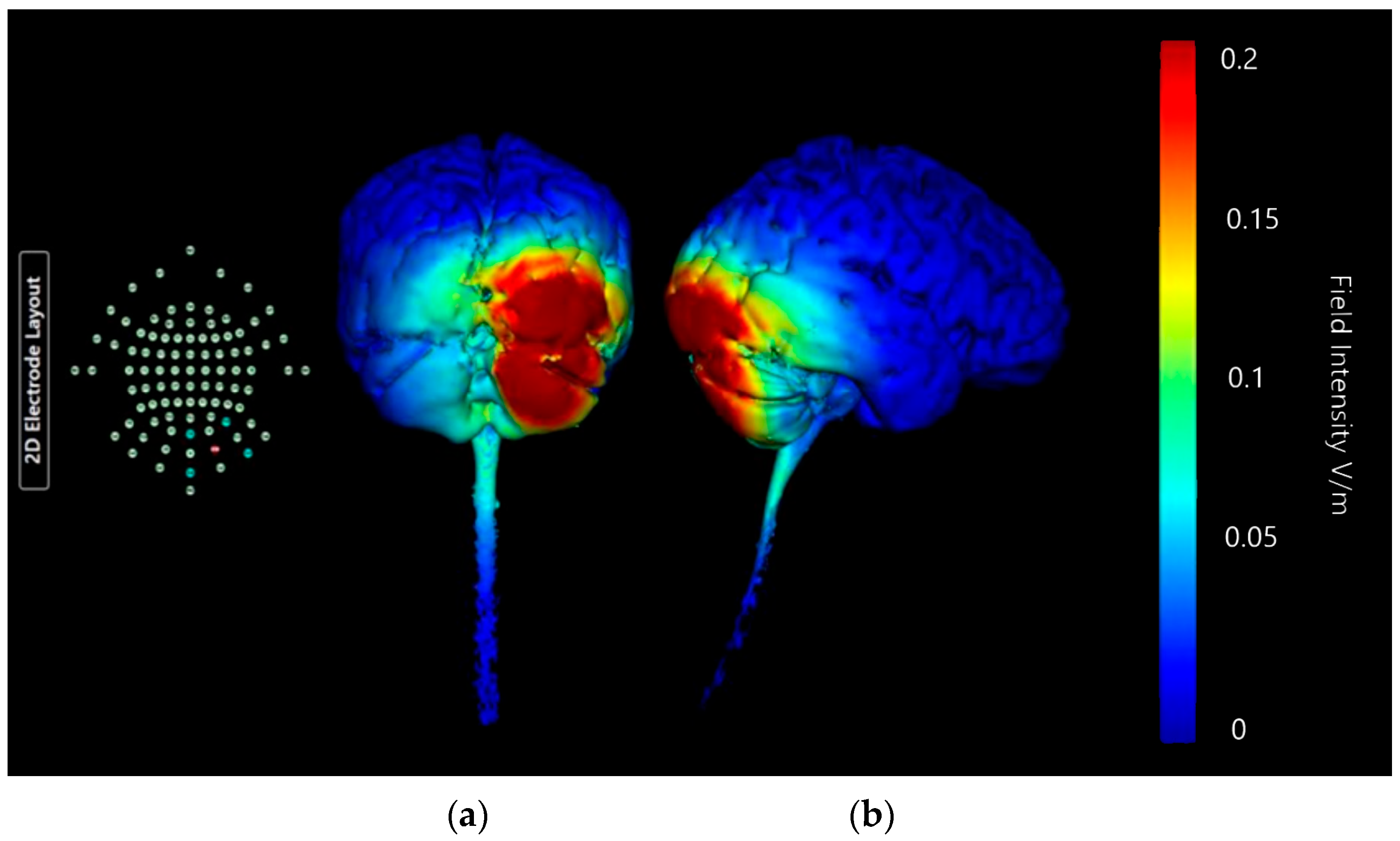Brainsci 15 00344 g015