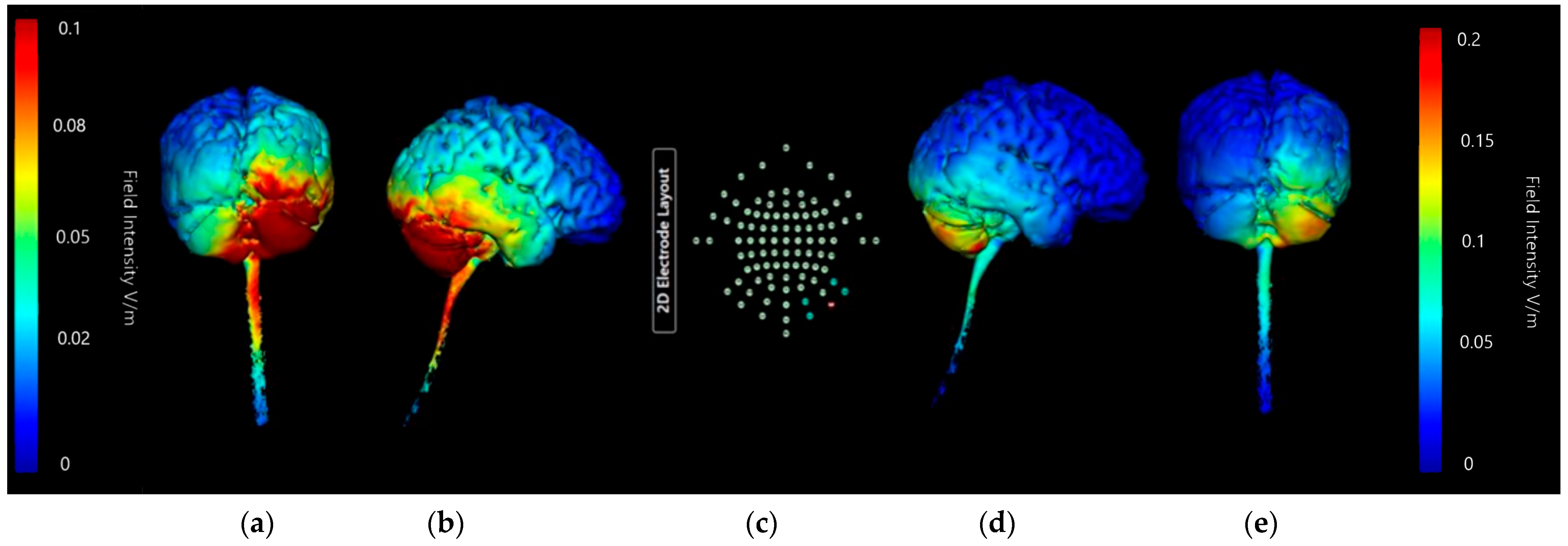 Brainsci 15 00344 g020