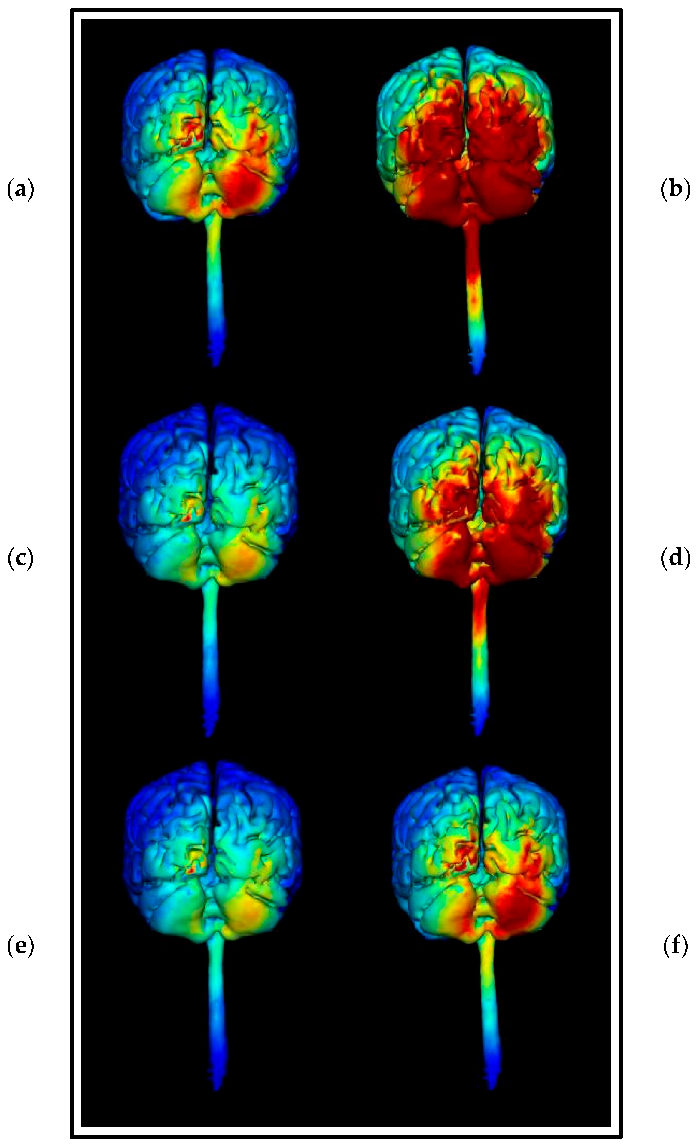Brainsci 15 00344 g022