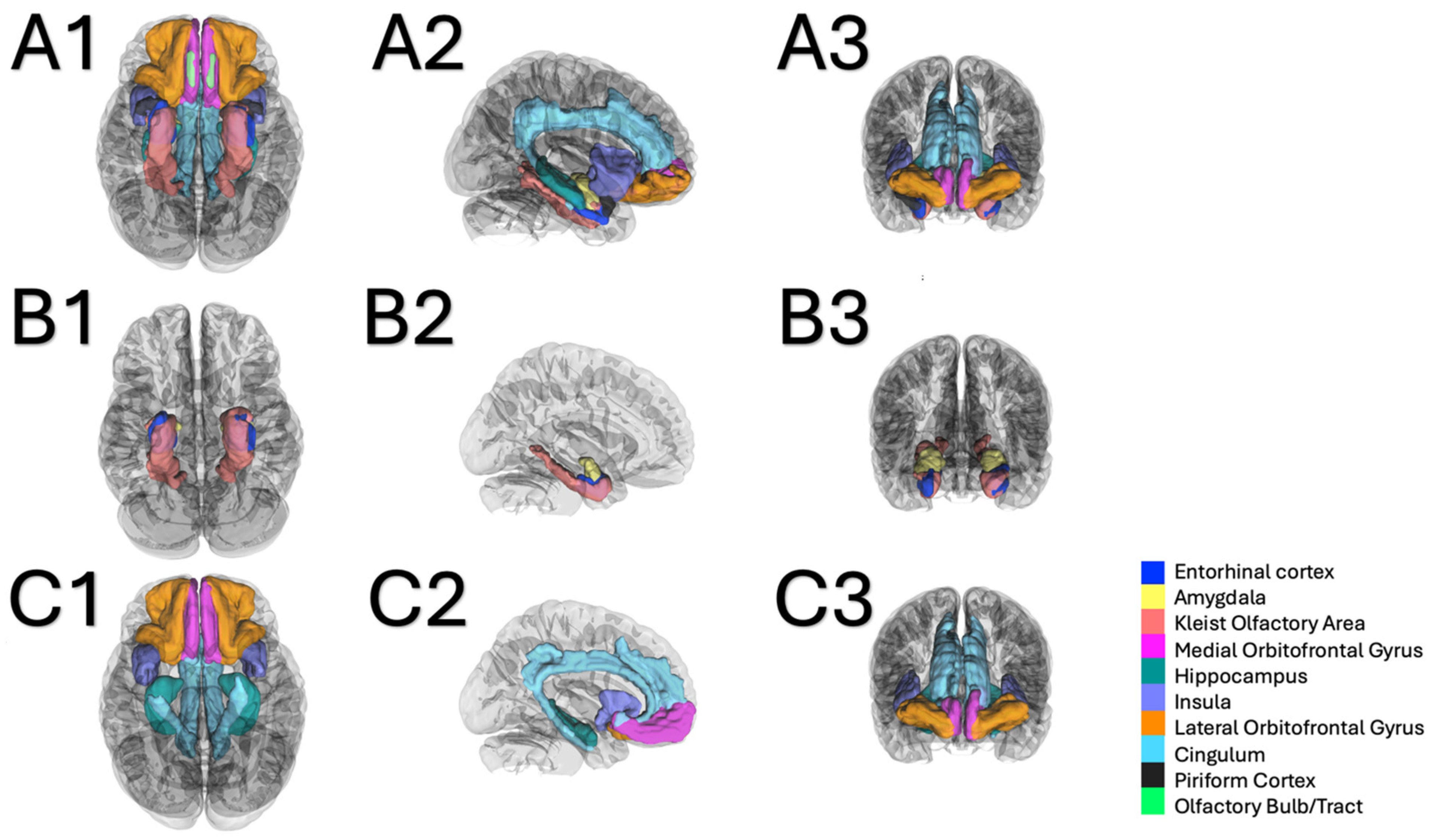 Brainsci 15 00368 g002