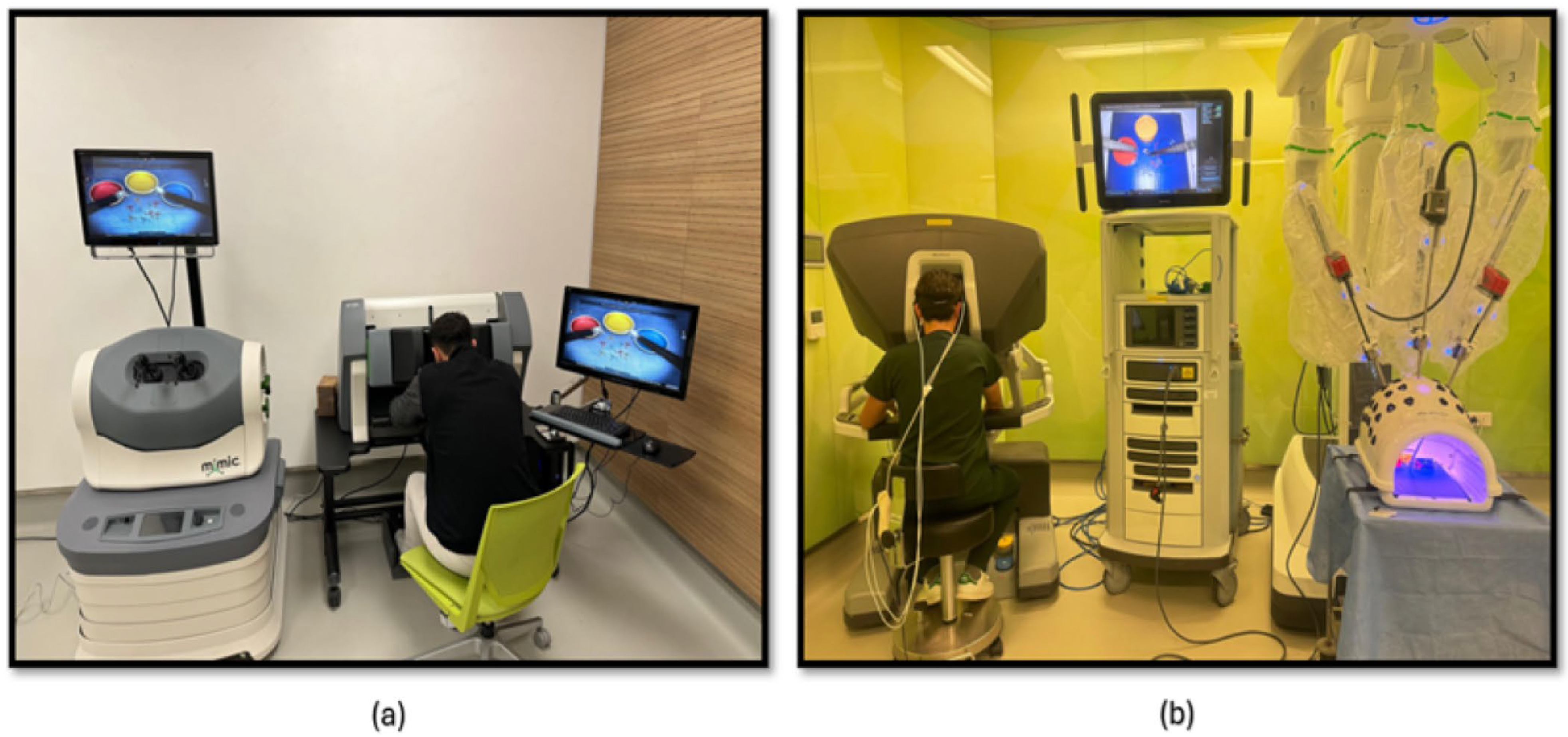 Brainsci 15 00387 g004