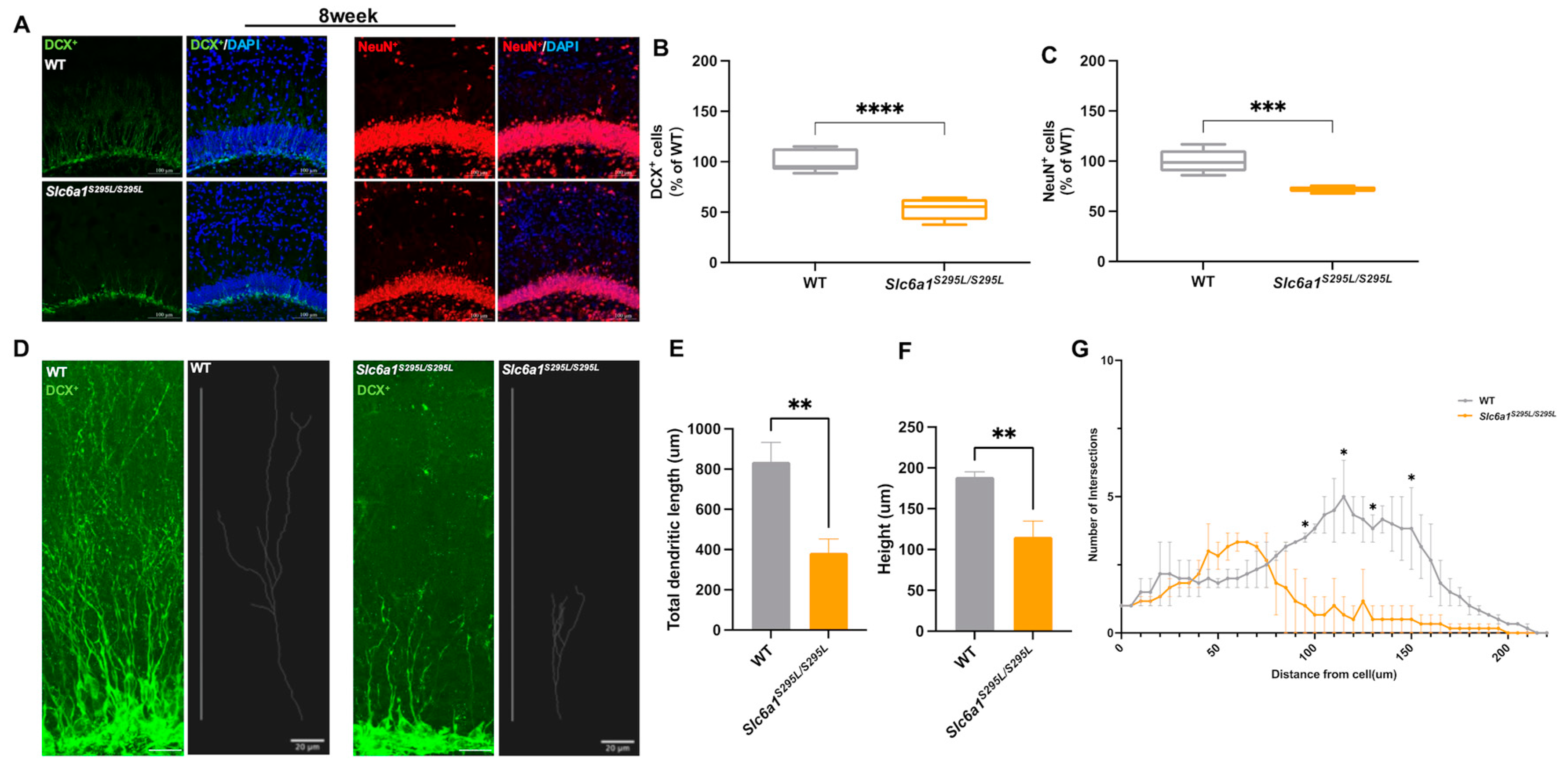 Brainsci 15 00393 g002