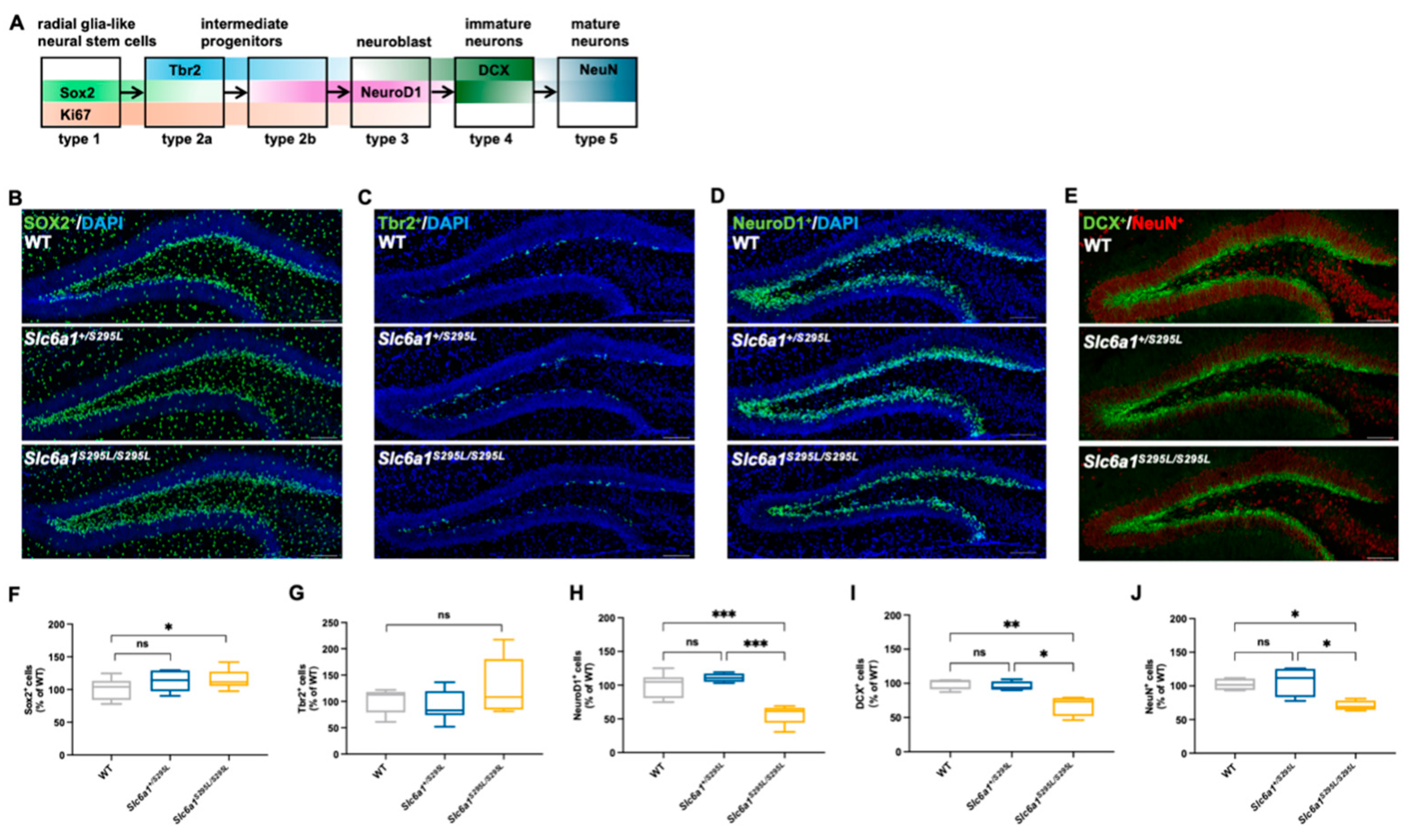 Brainsci 15 00393 g003