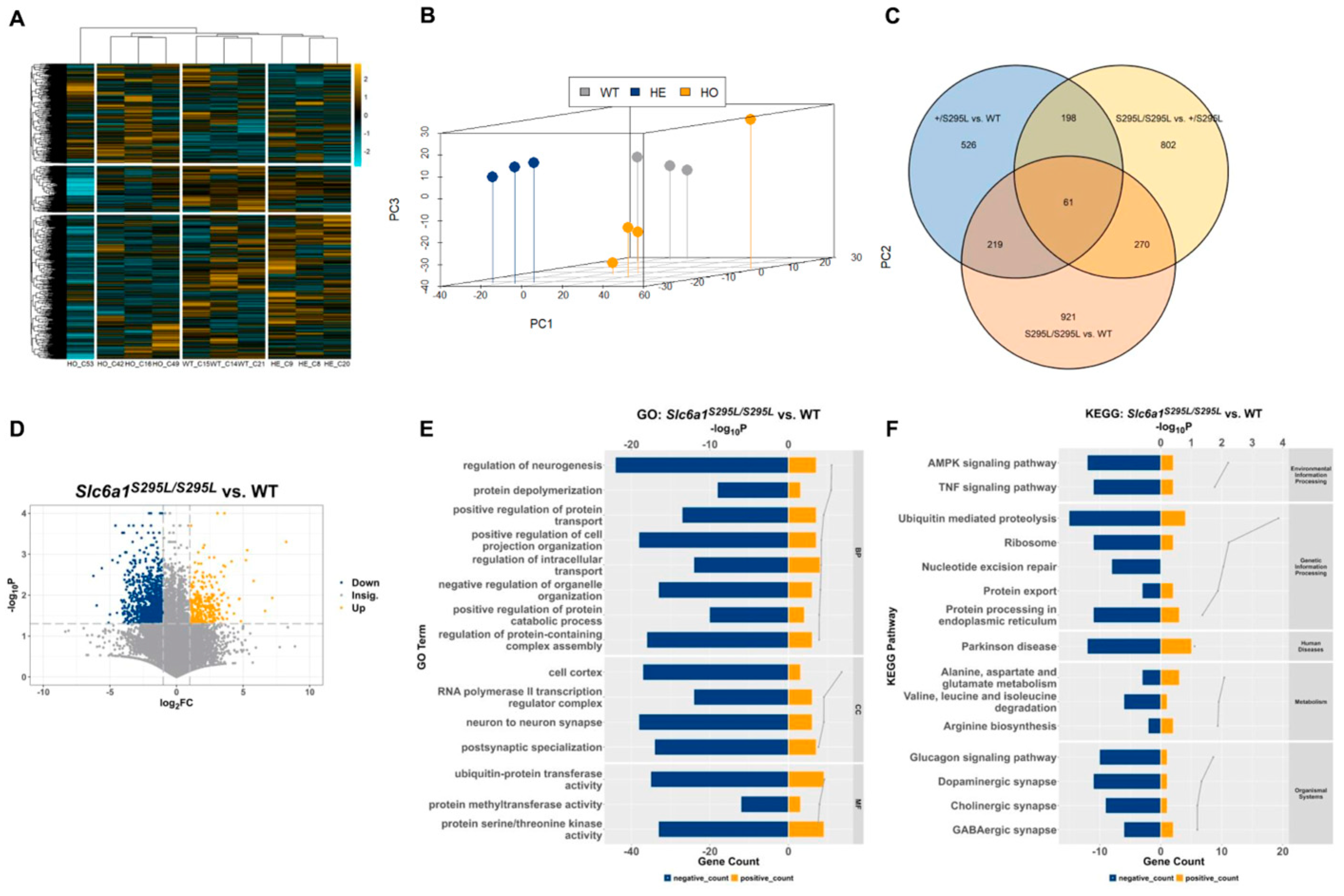 Brainsci 15 00393 g005