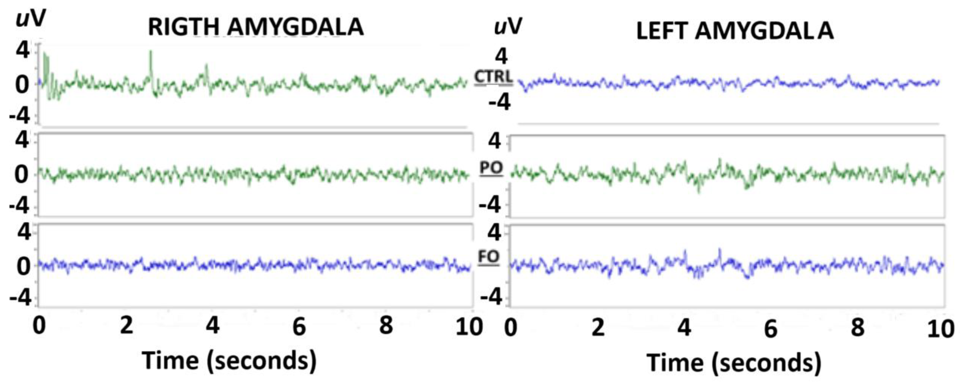 Brainsci 15 00395 g004
