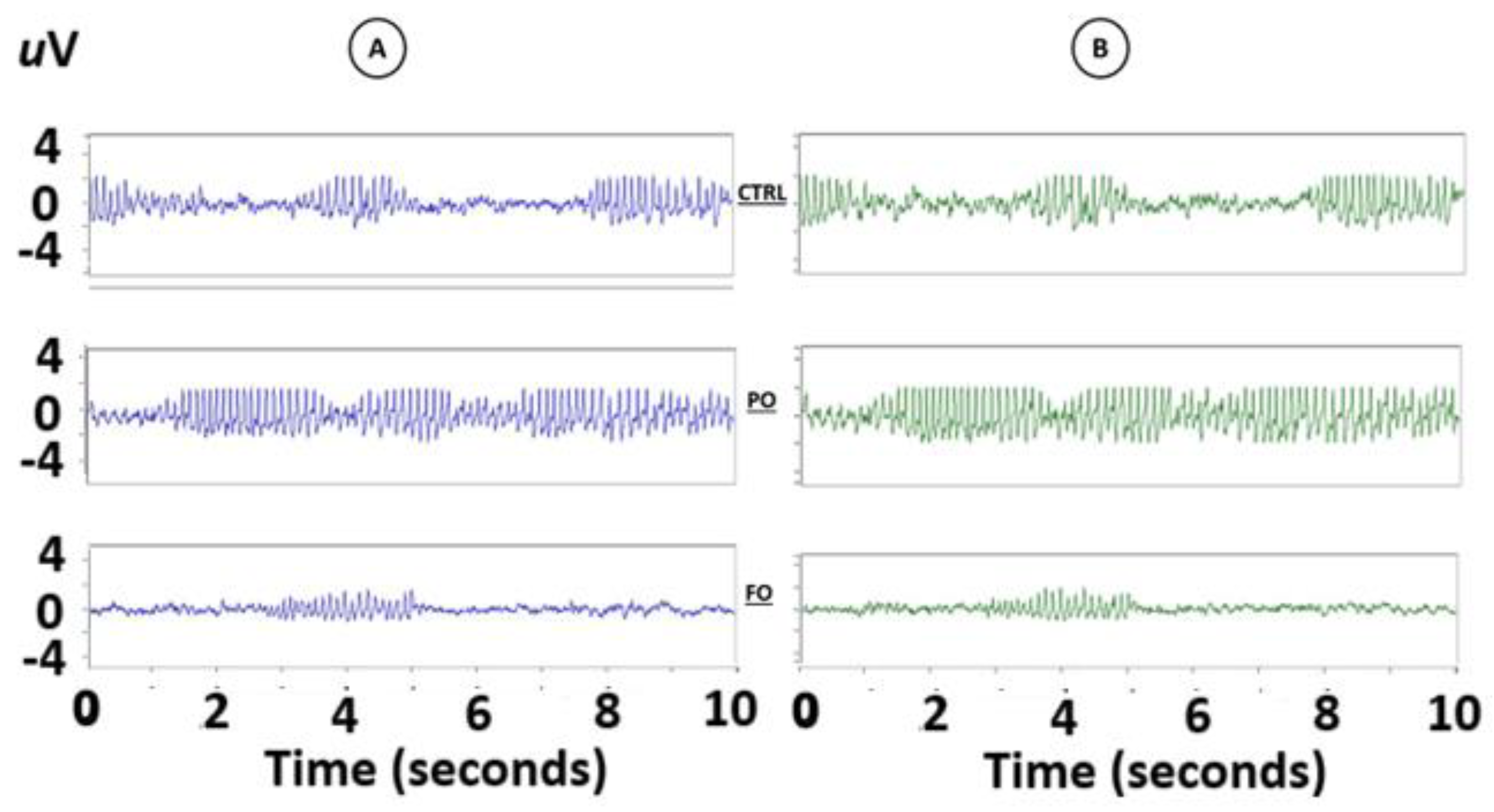 Brainsci 15 00395 g005