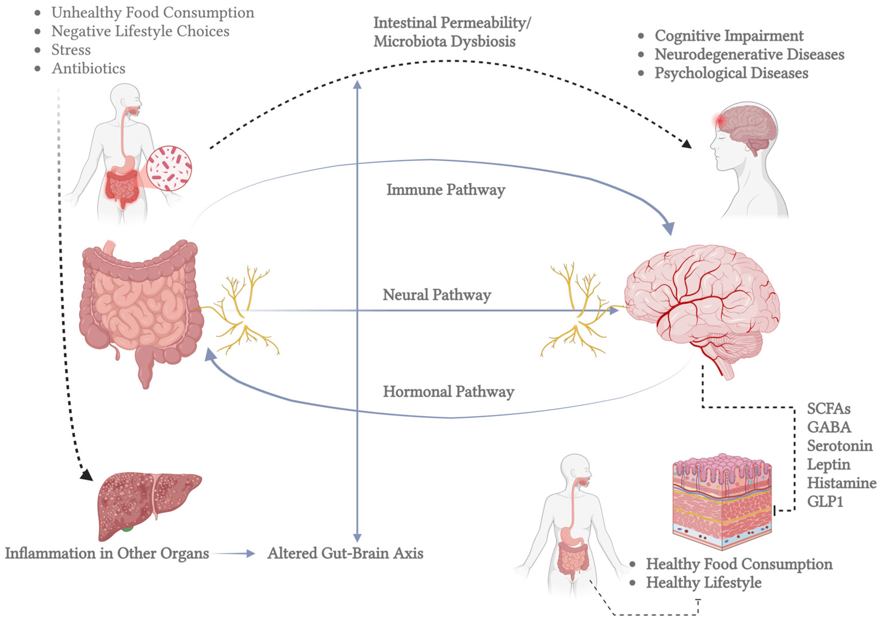 Brainsci 15 00400 g001