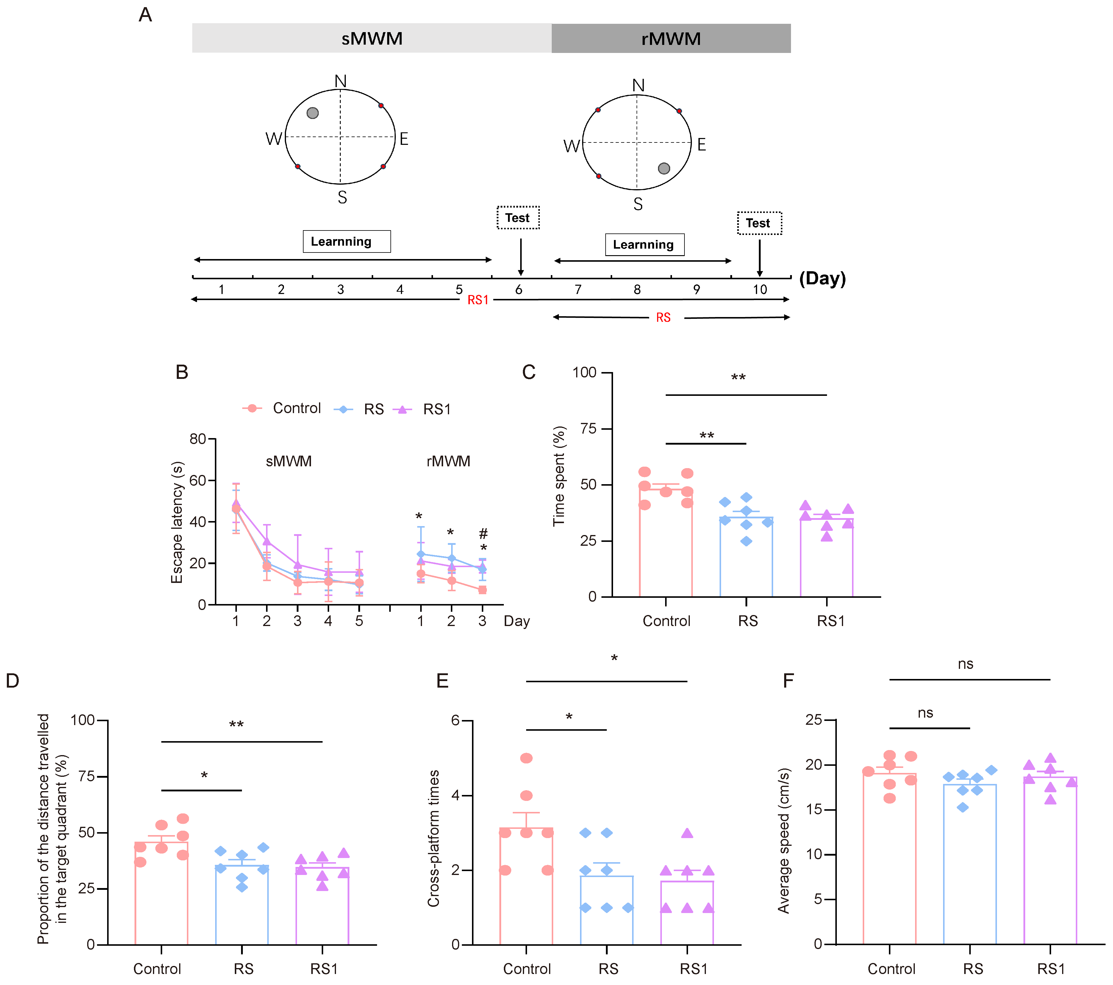 Brainsci 15 00416 g001