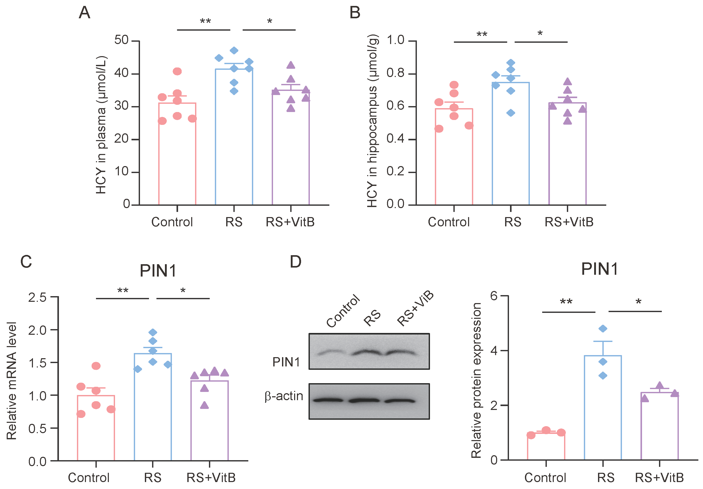 Brainsci 15 00416 g005