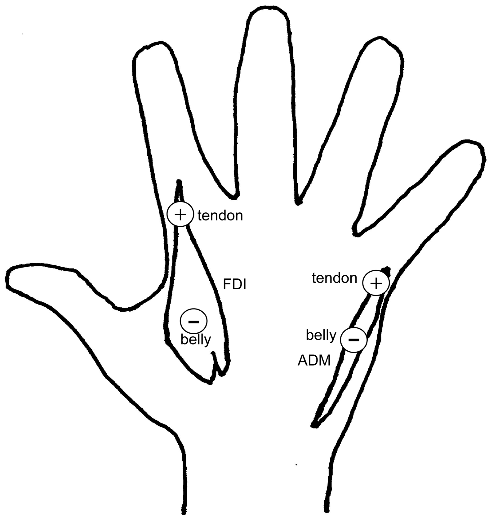 Brainsci 15 00422 g001