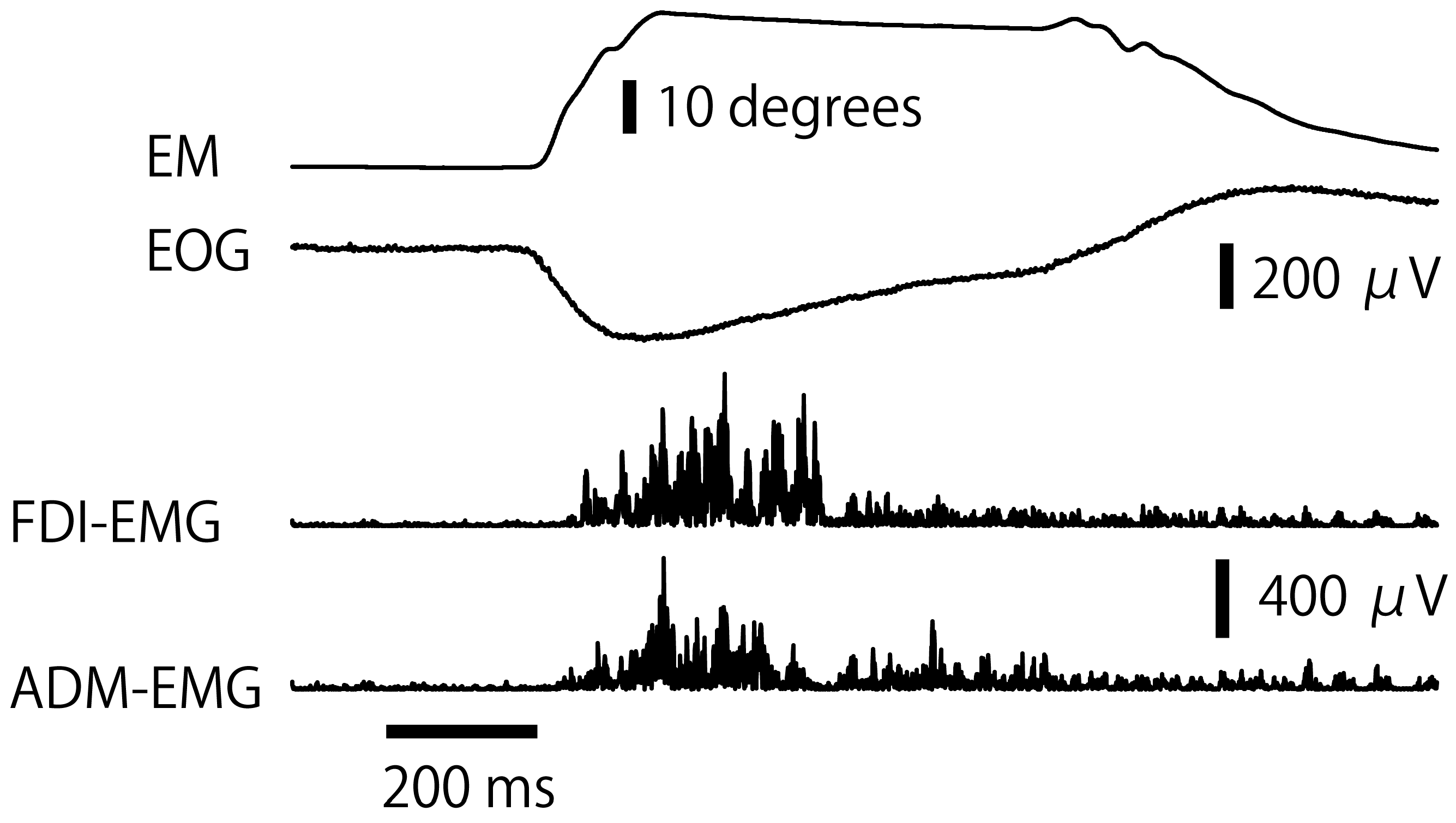 Brainsci 15 00422 g003