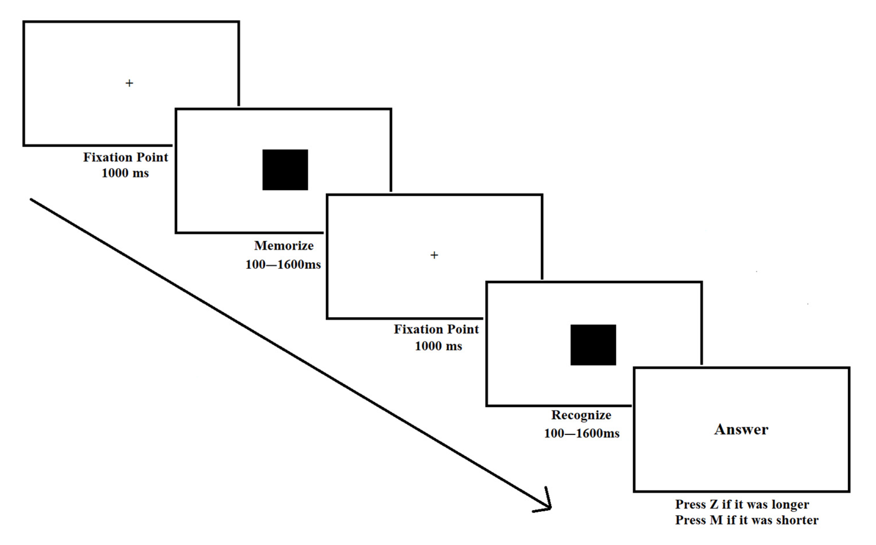 Brainsci 15 00431 g001