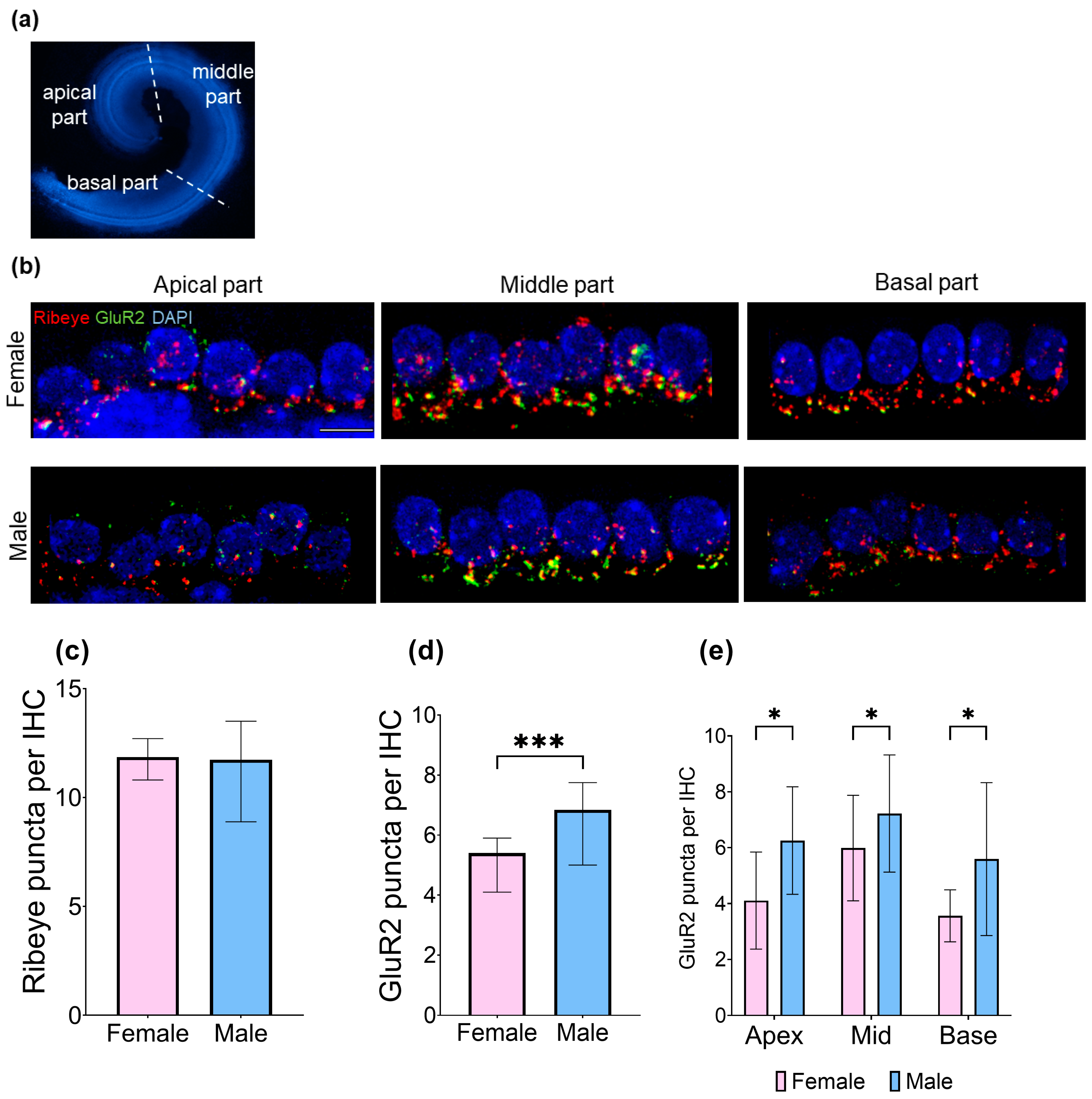 Brainsci 15 00441 g003