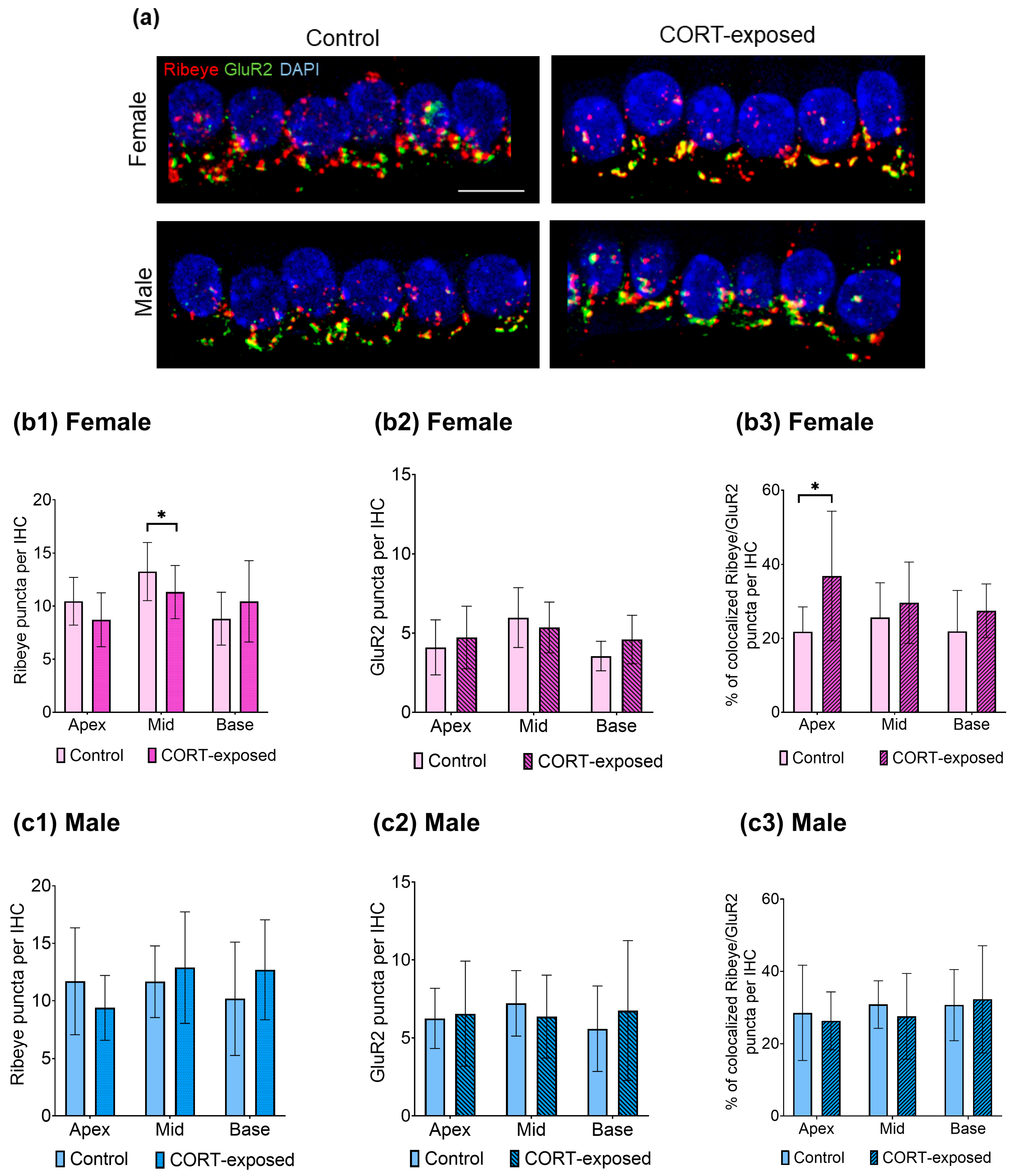 Brainsci 15 00441 g004
