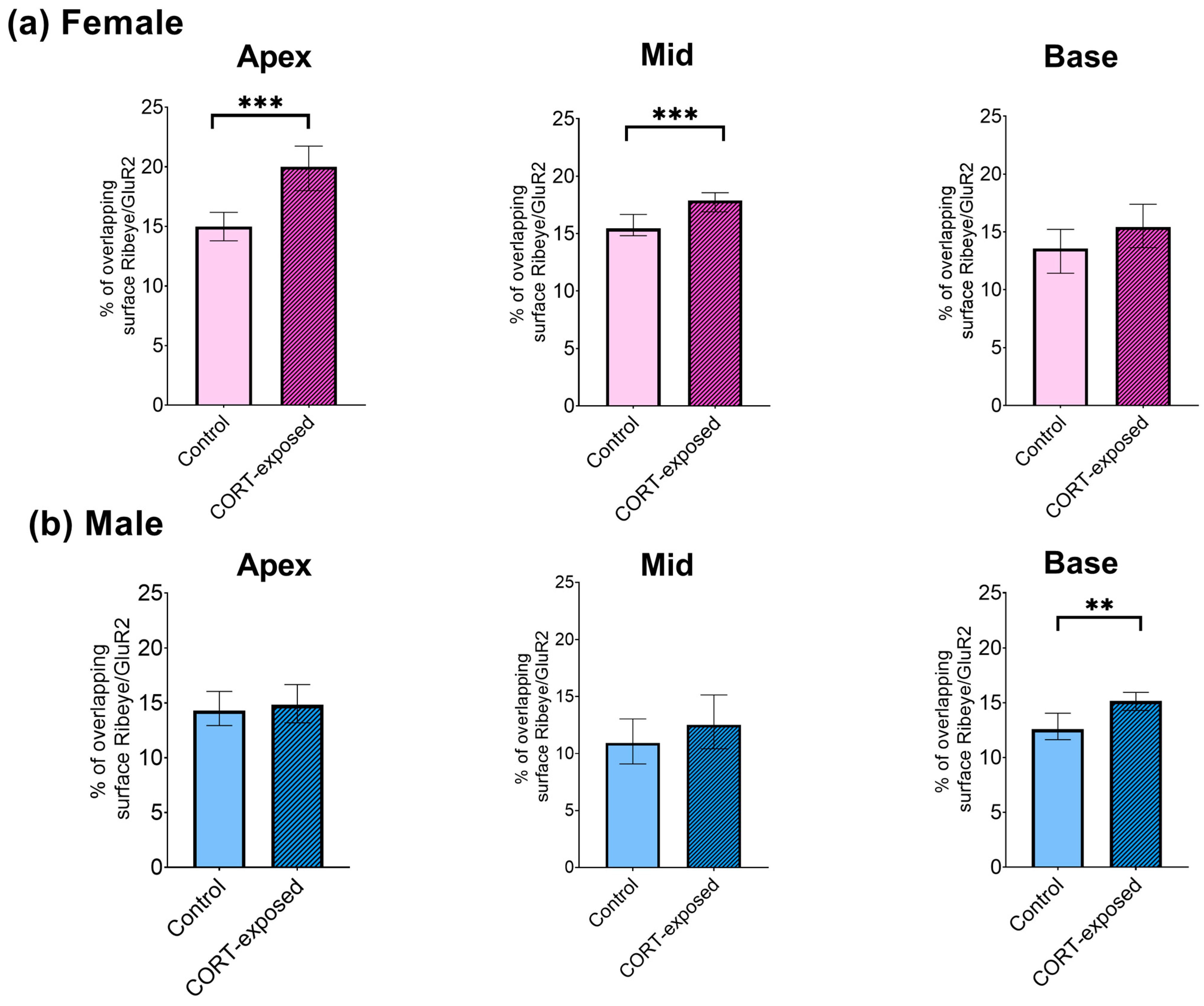 Brainsci 15 00441 g005