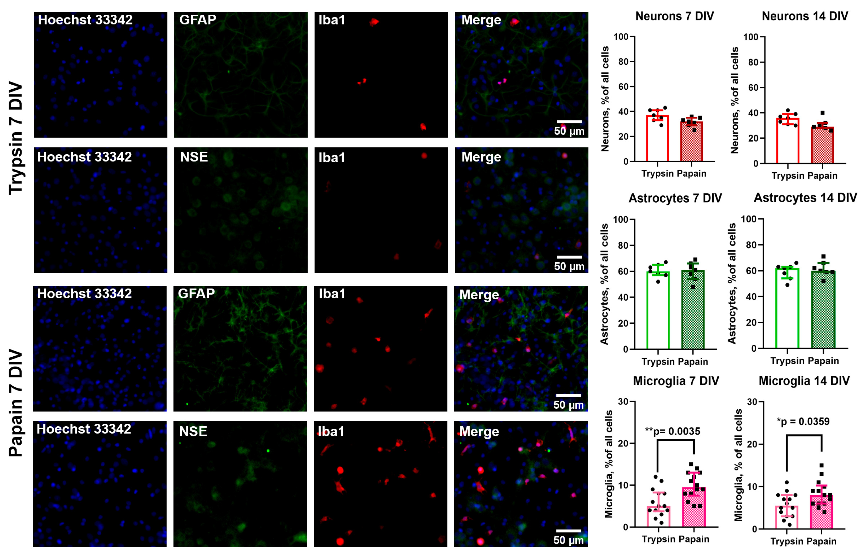 Brainsci 15 00442 g001