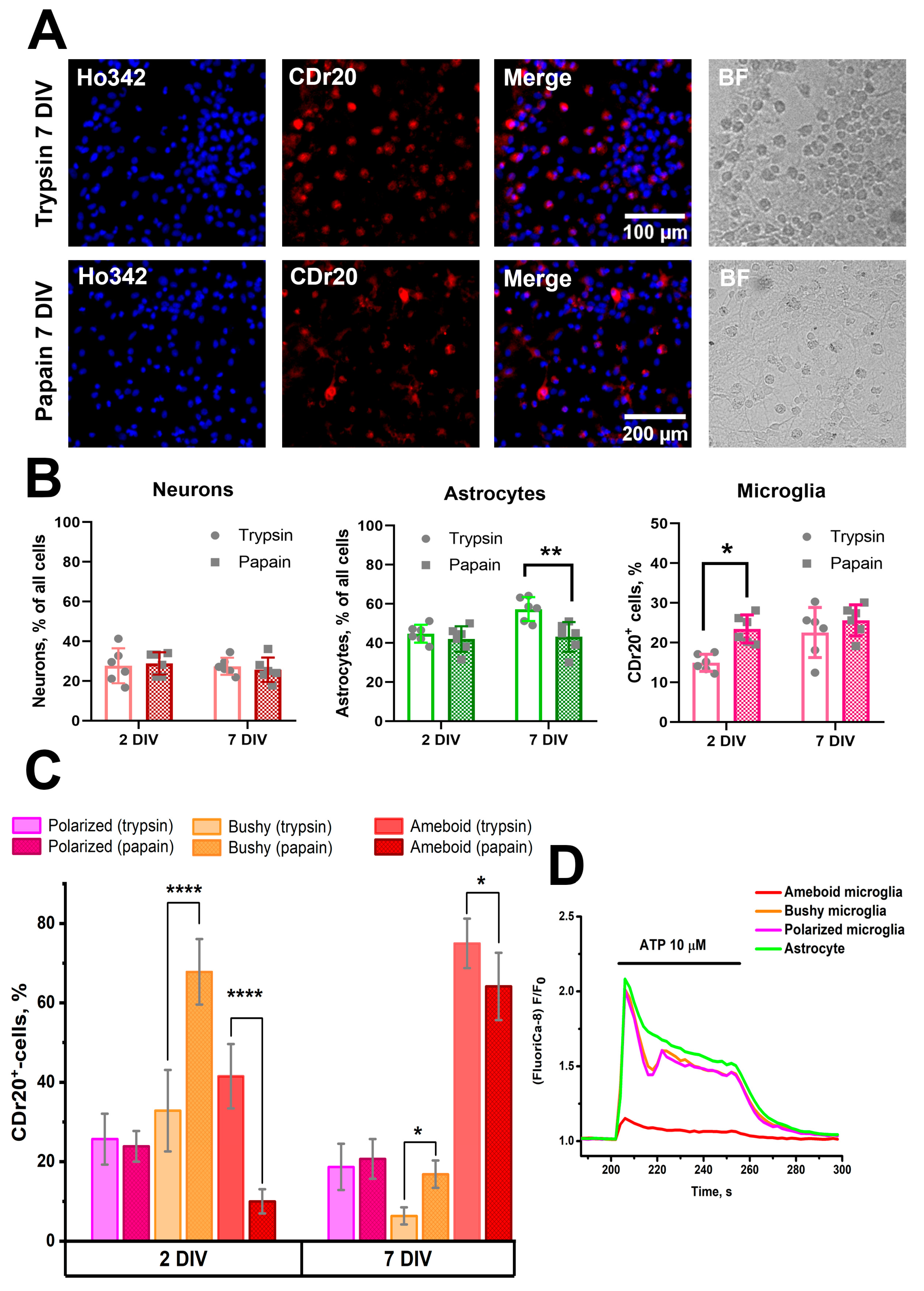 Brainsci 15 00442 g005