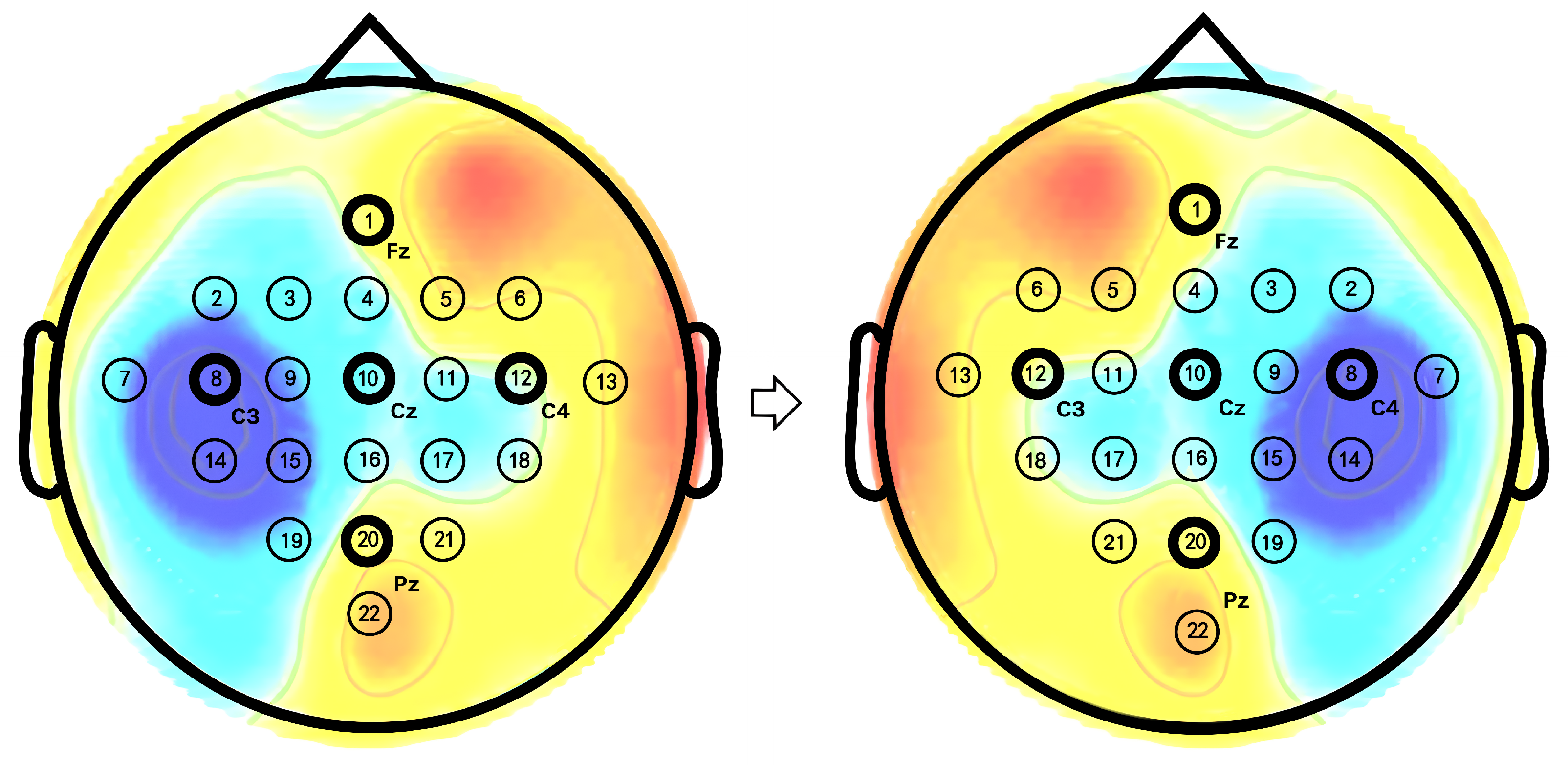 Brainsci 15 00460 g003