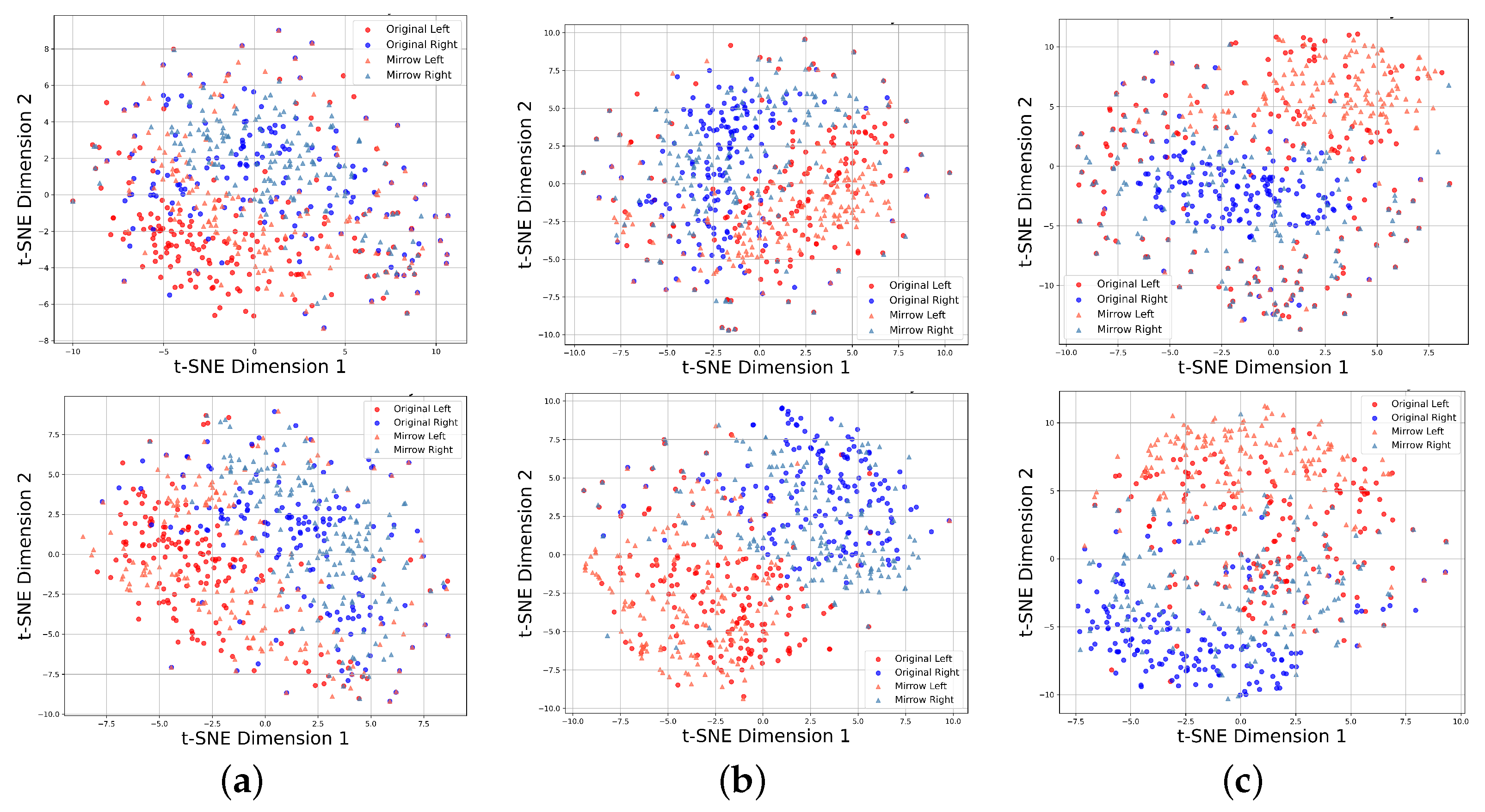 Brainsci 15 00460 g007