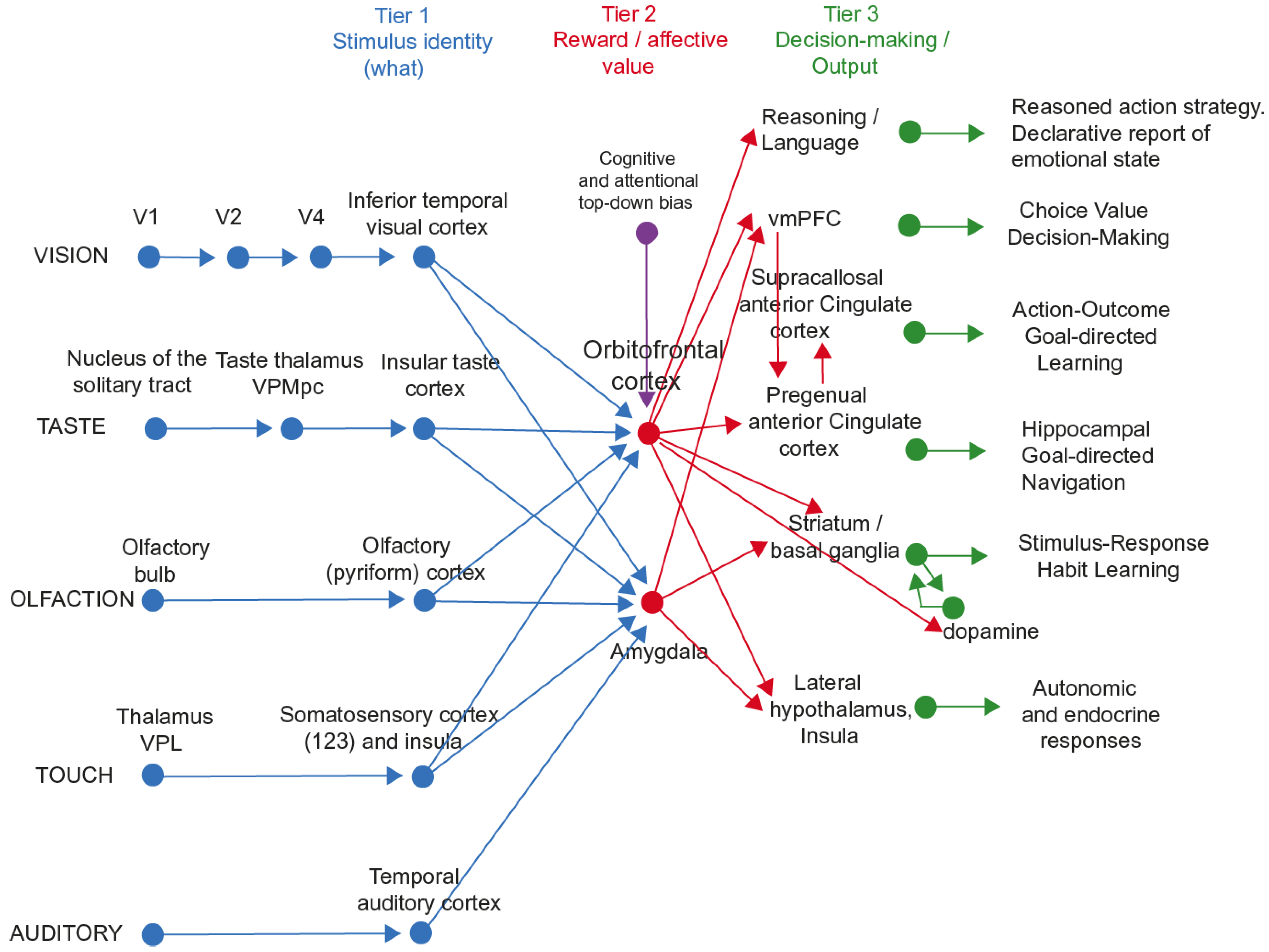 Brainsci 15 00507 g003