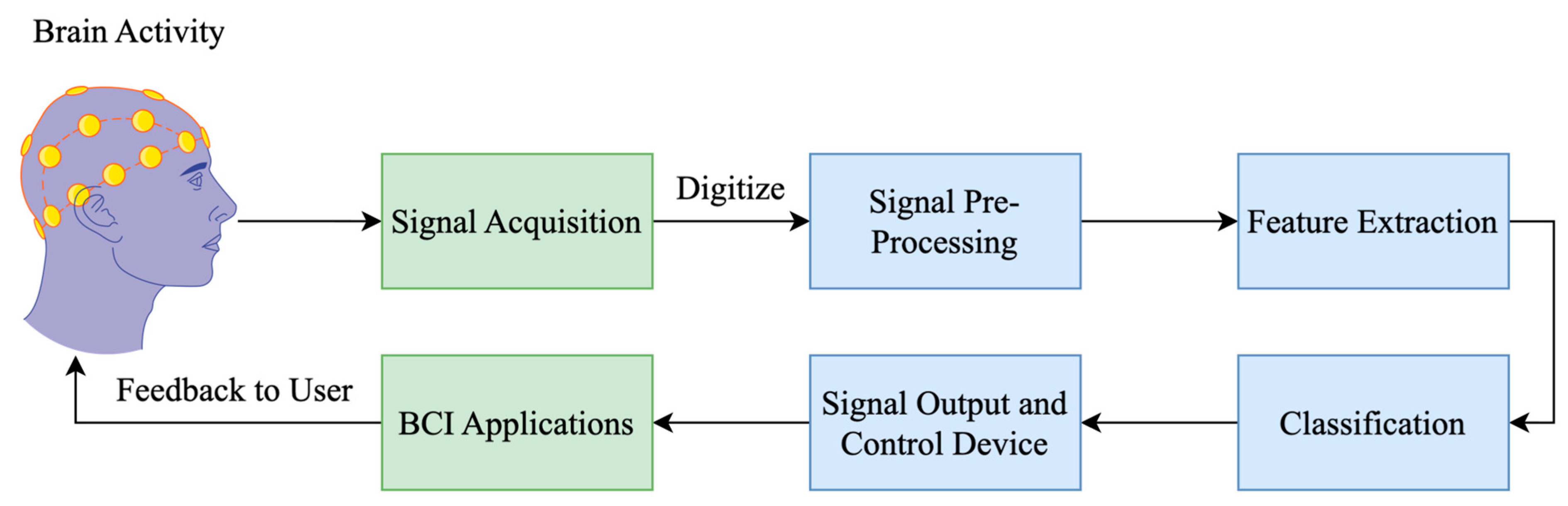 Brainsci 15 00519 g002 Brainsci 15 00519 g002