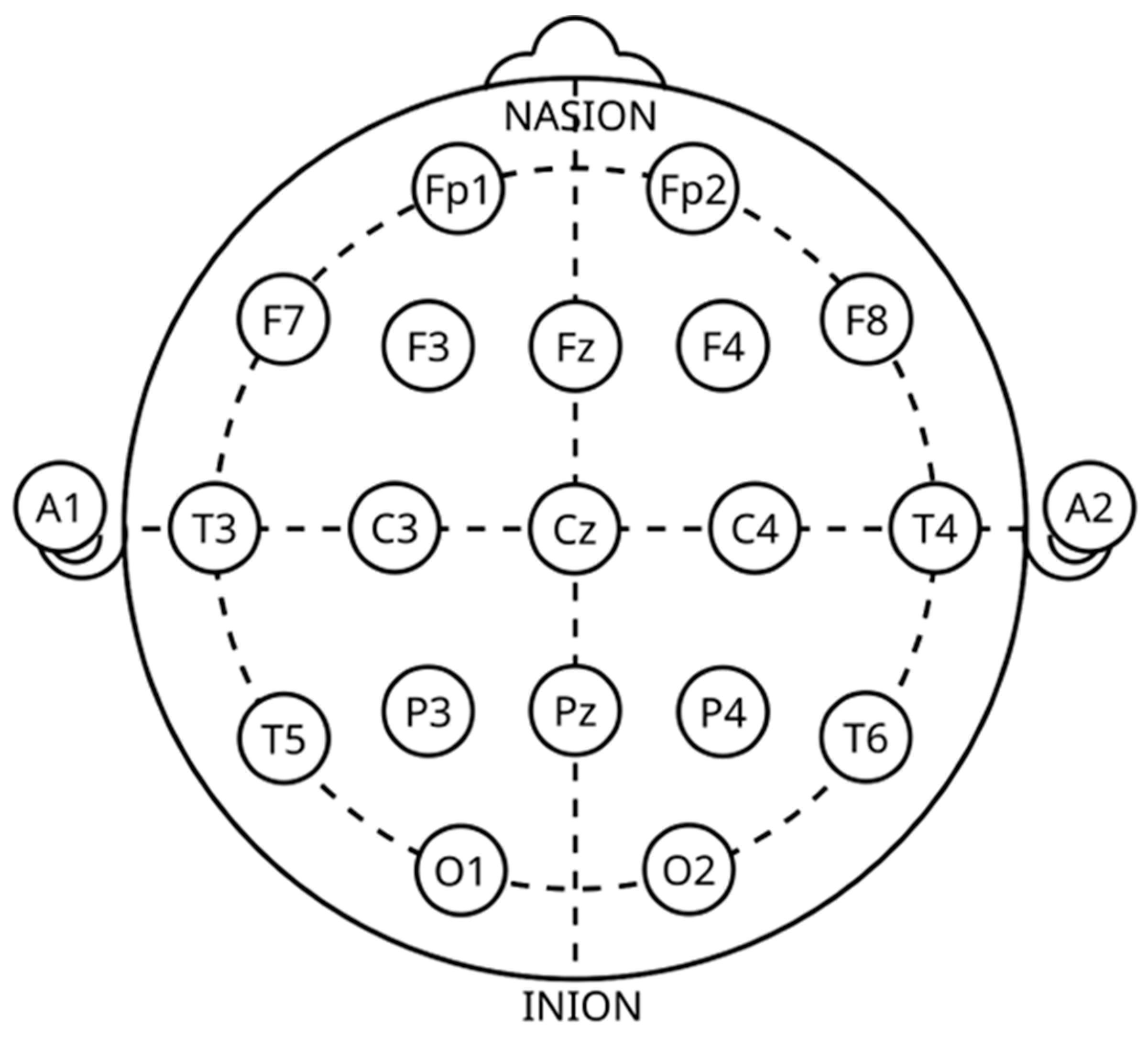 Brainsci 15 00519 g005 Brainsci 15 00519 g005