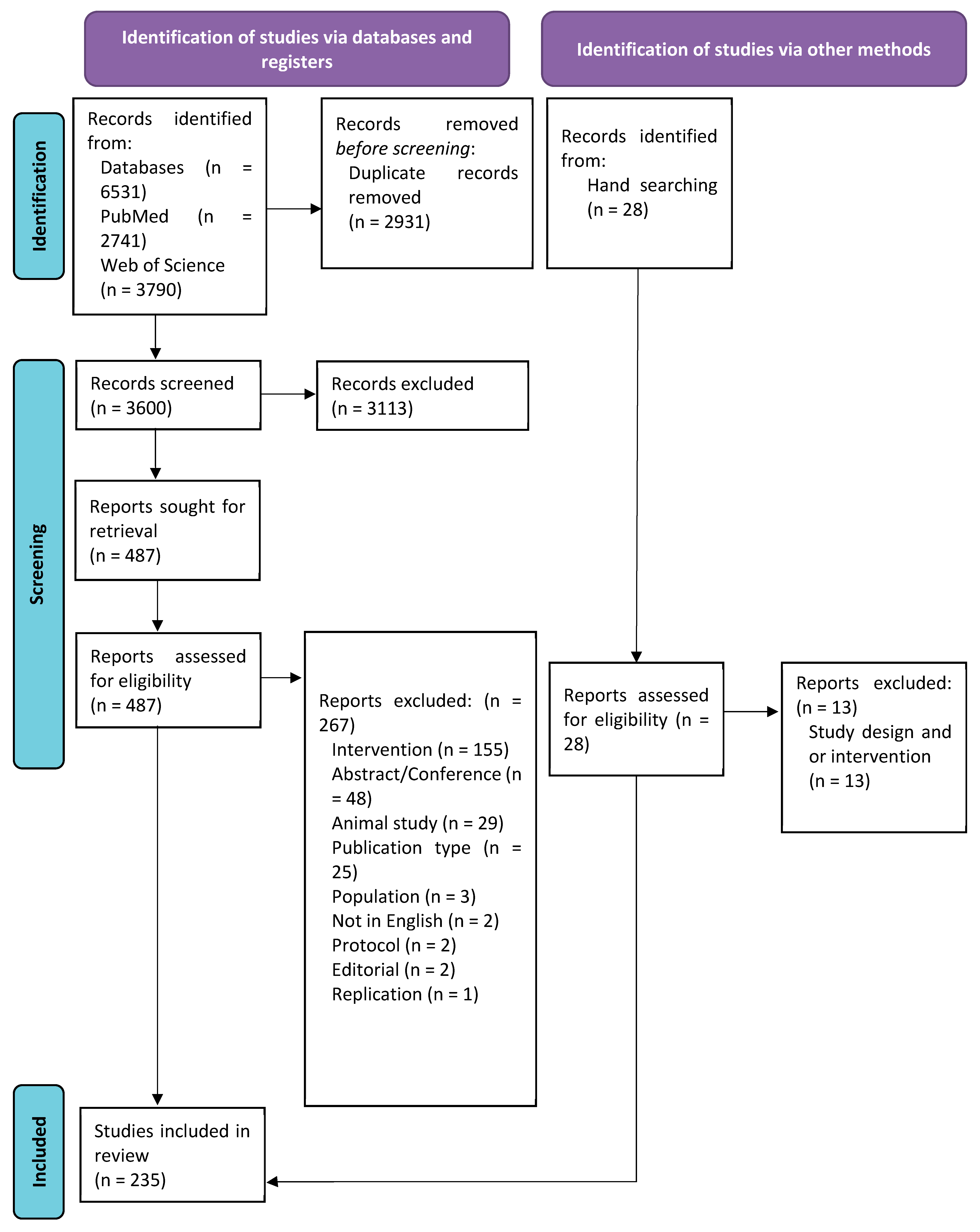 Brainsci 15 00626 g001 Brainsci 15 00626 g001