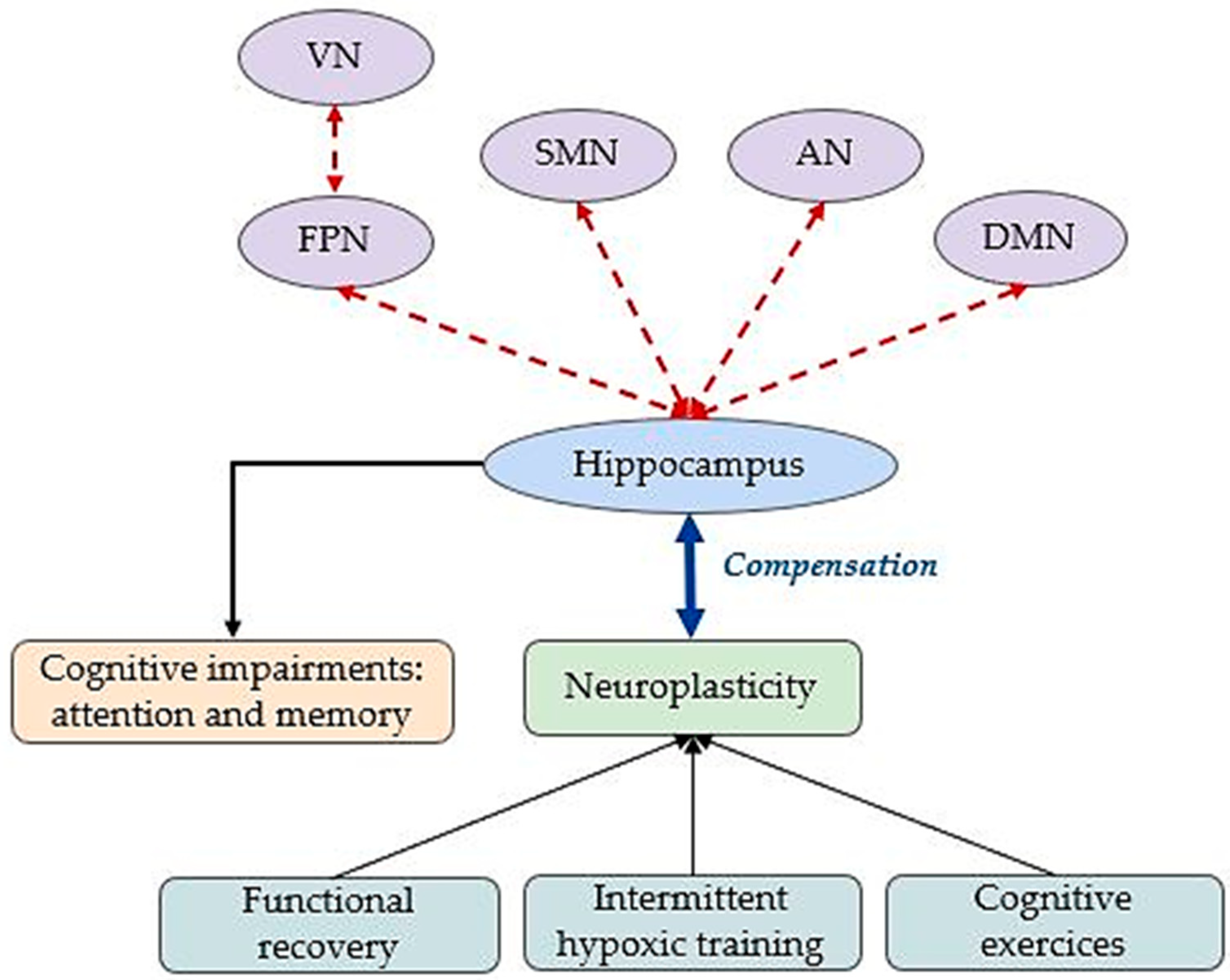 Brainsci 15 00643 g003 Brainsci 15 00643 g003
