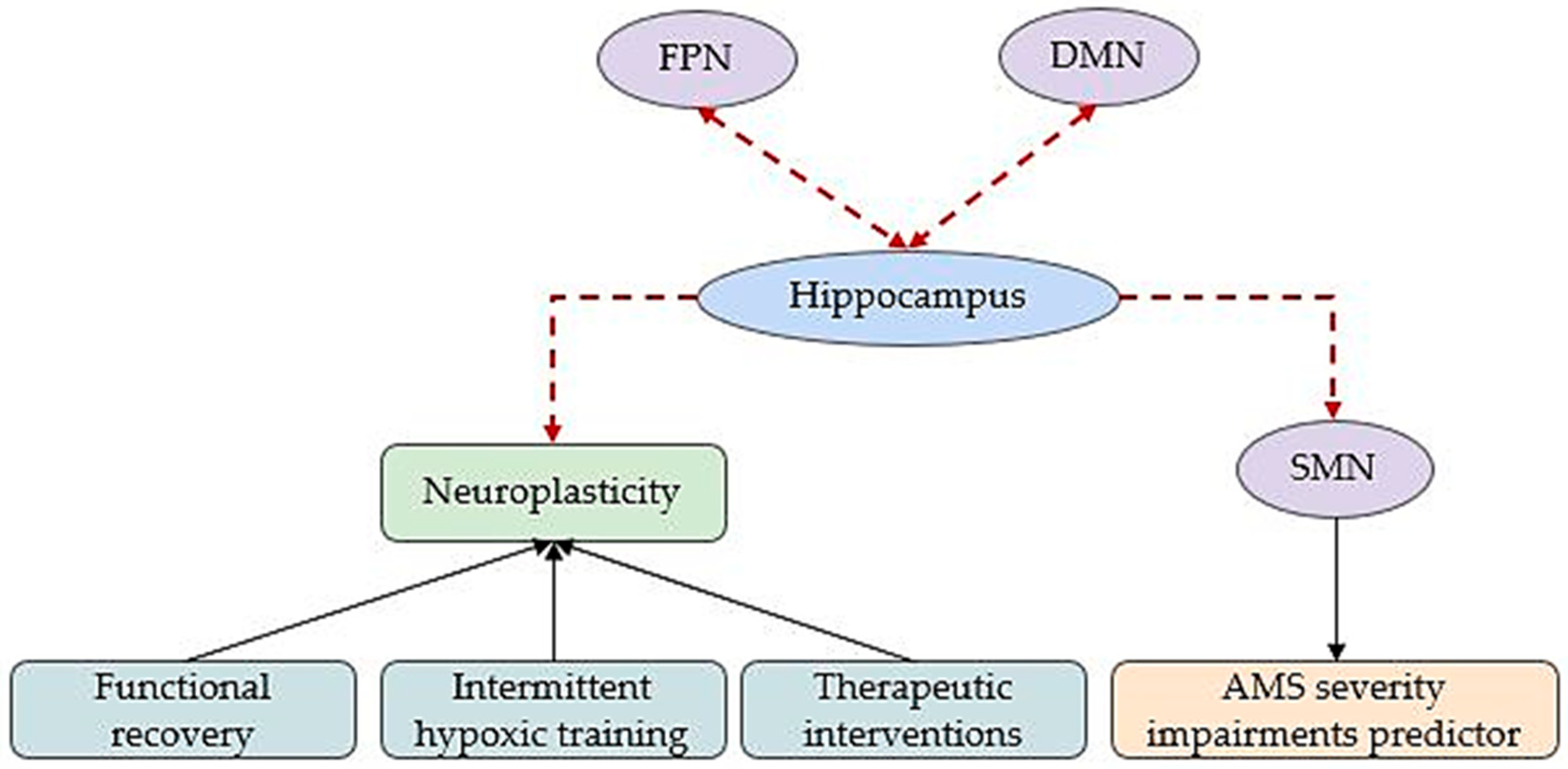 Brainsci 15 00643 g004 Brainsci 15 00643 g004