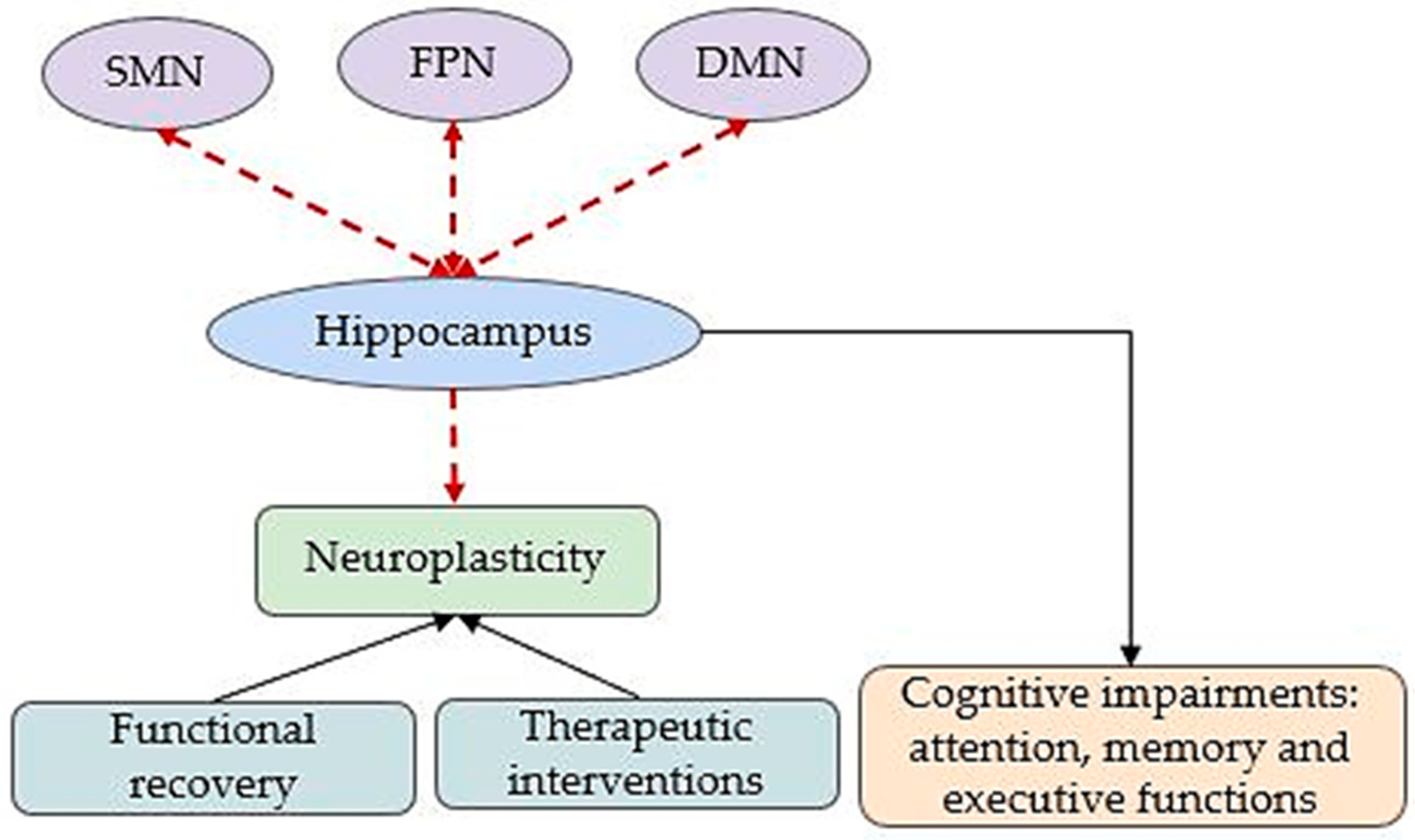 Brainsci 15 00643 g006 Brainsci 15 00643 g006