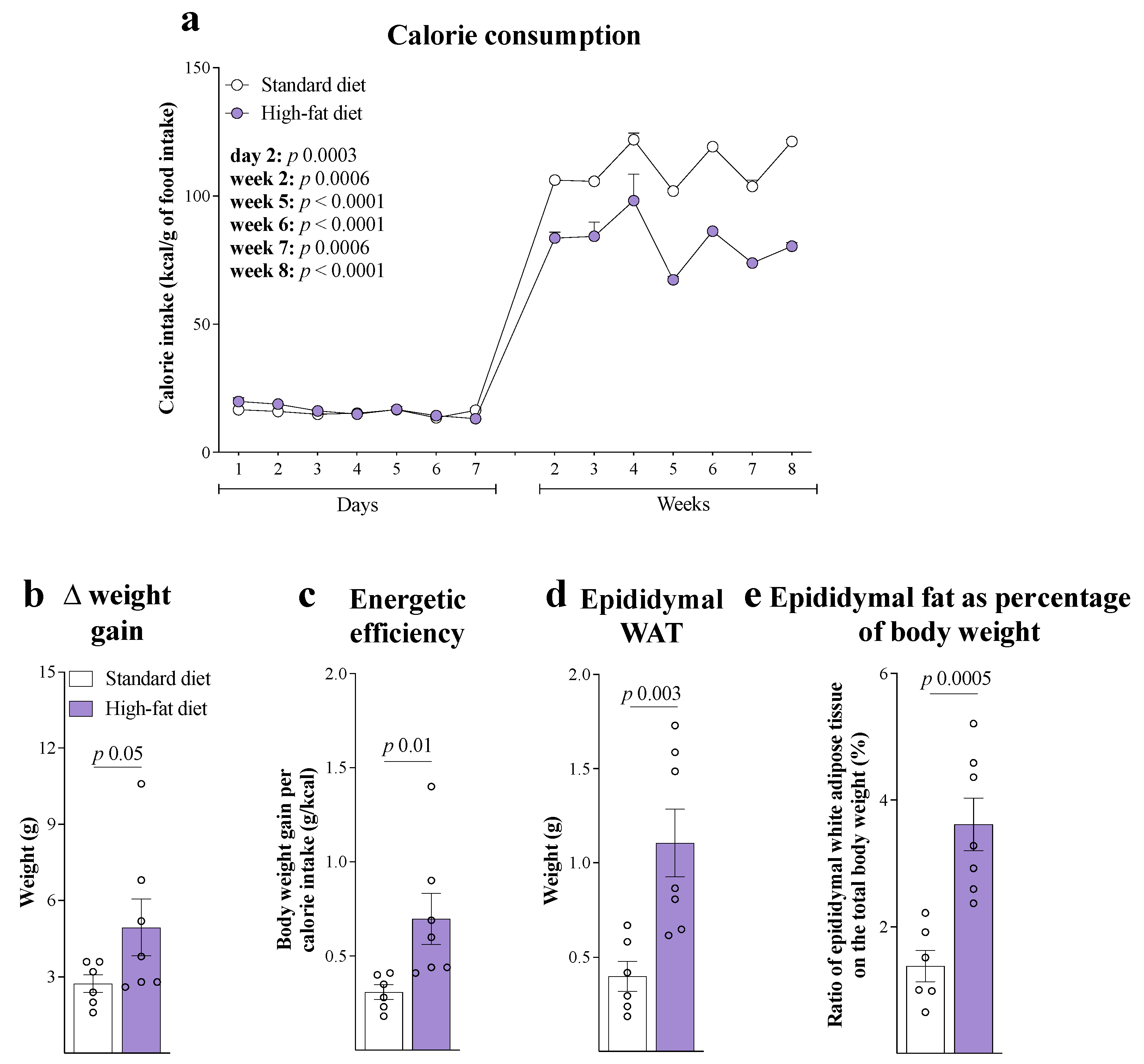 Brainsci 15 00646 g001