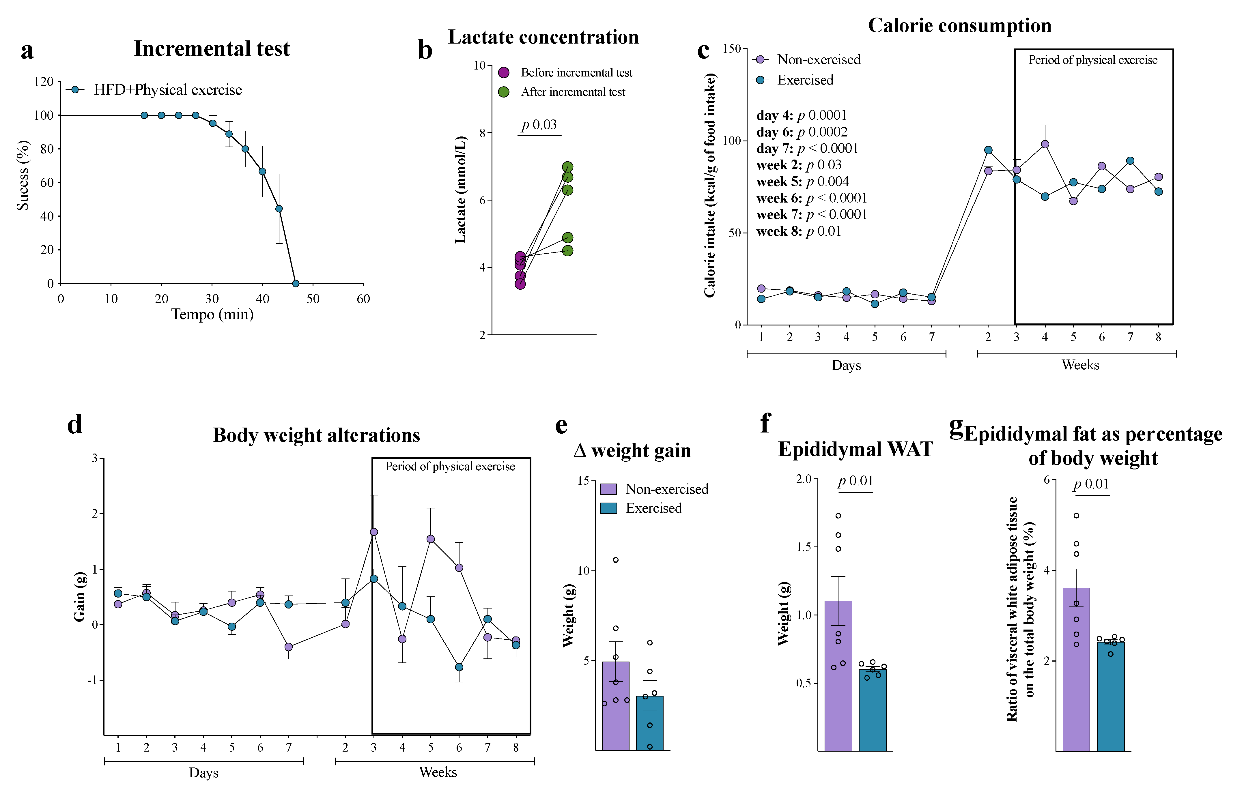 Brainsci 15 00646 g006