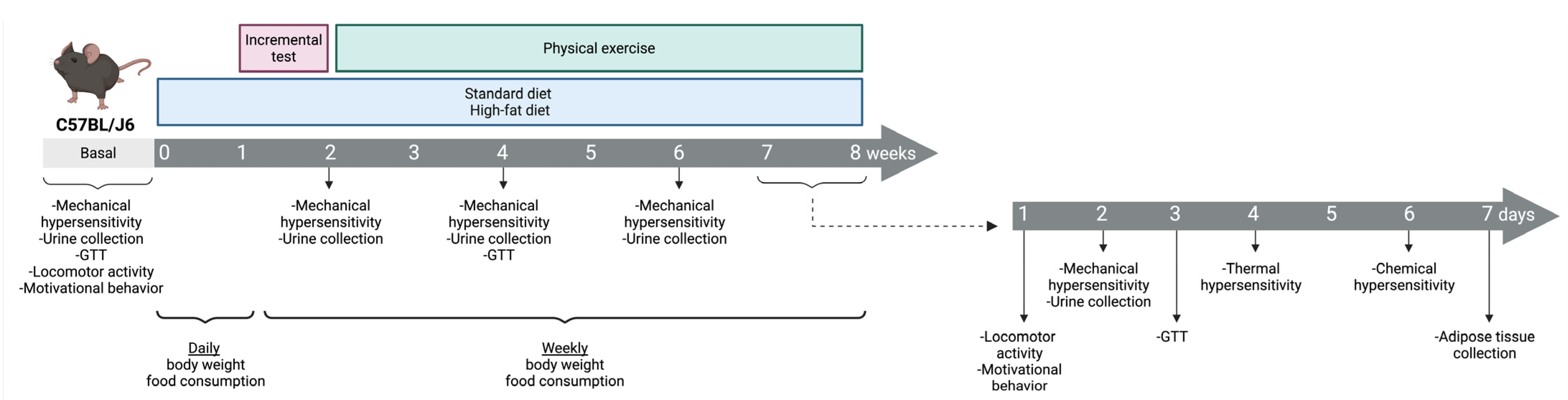Brainsci 15 00646 sch001