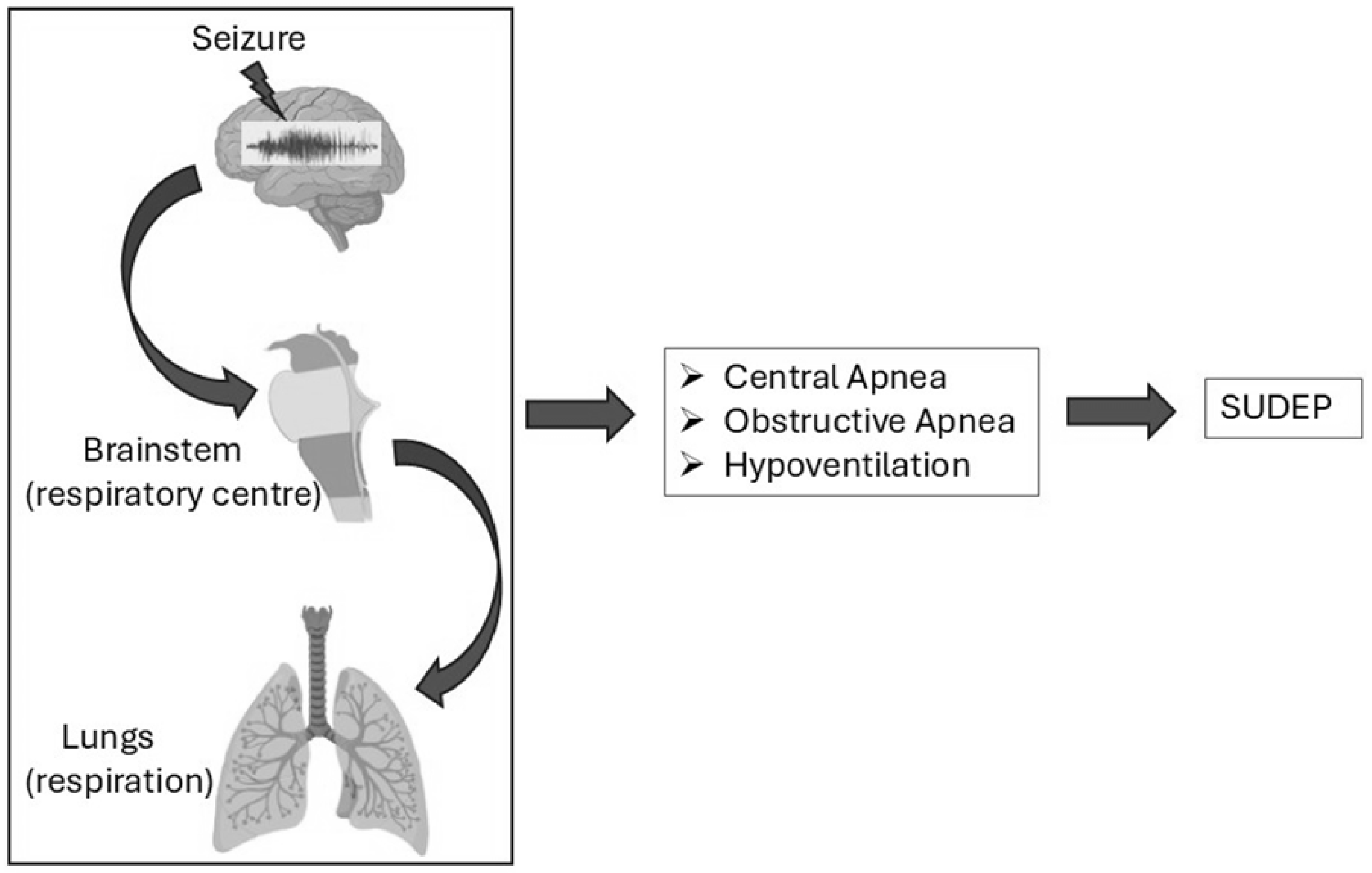 Brainsci 15 00809 g002 Brainsci 15 00809 g002