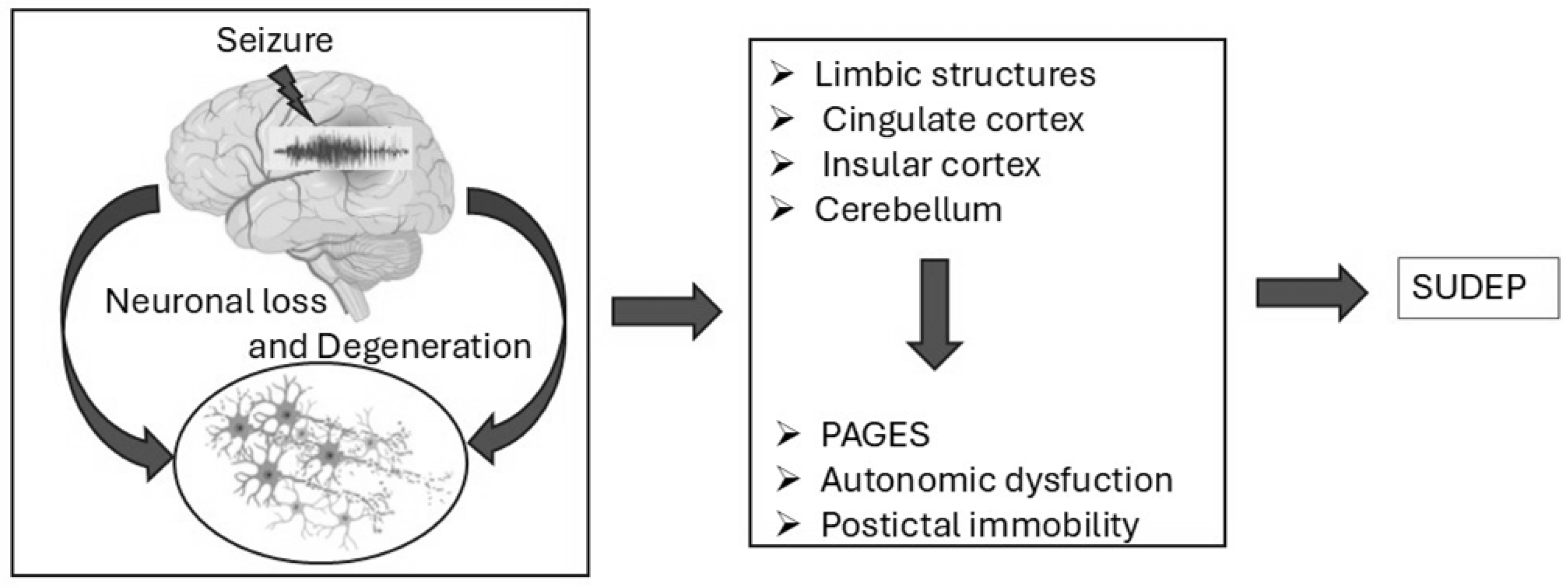 Brainsci 15 00809 g003 Brainsci 15 00809 g003