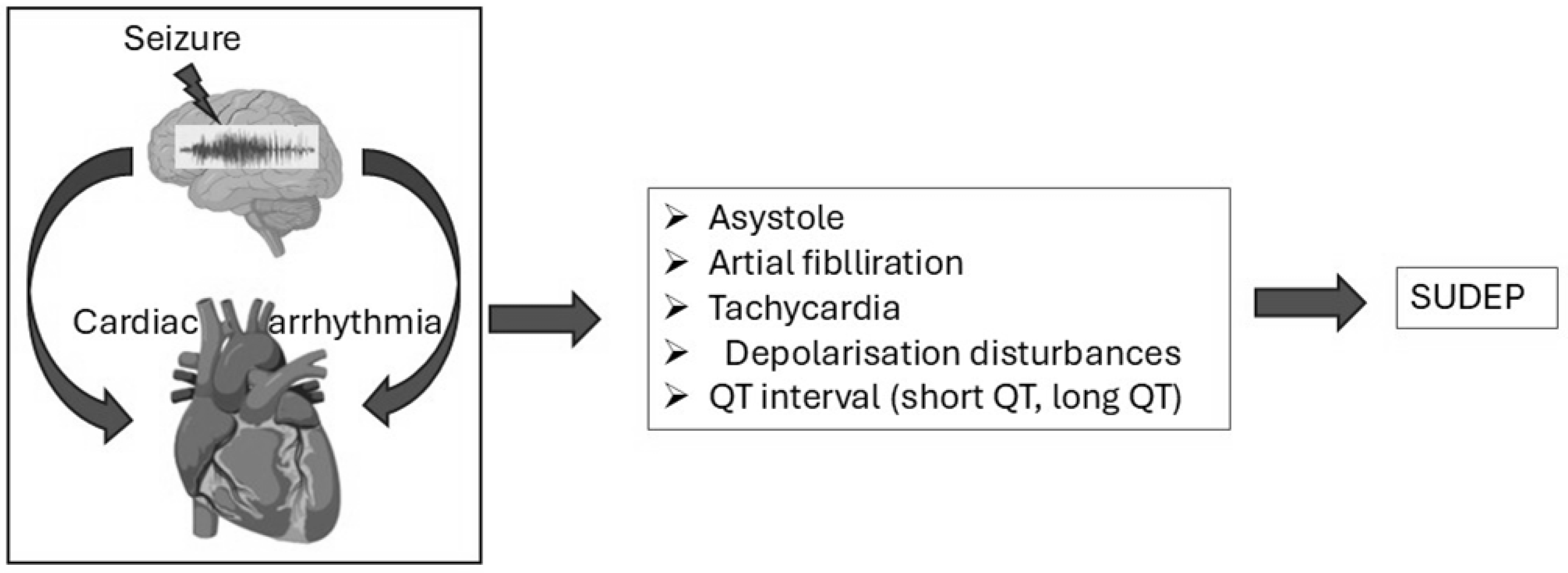 Brainsci 15 00809 g004 Brainsci 15 00809 g004