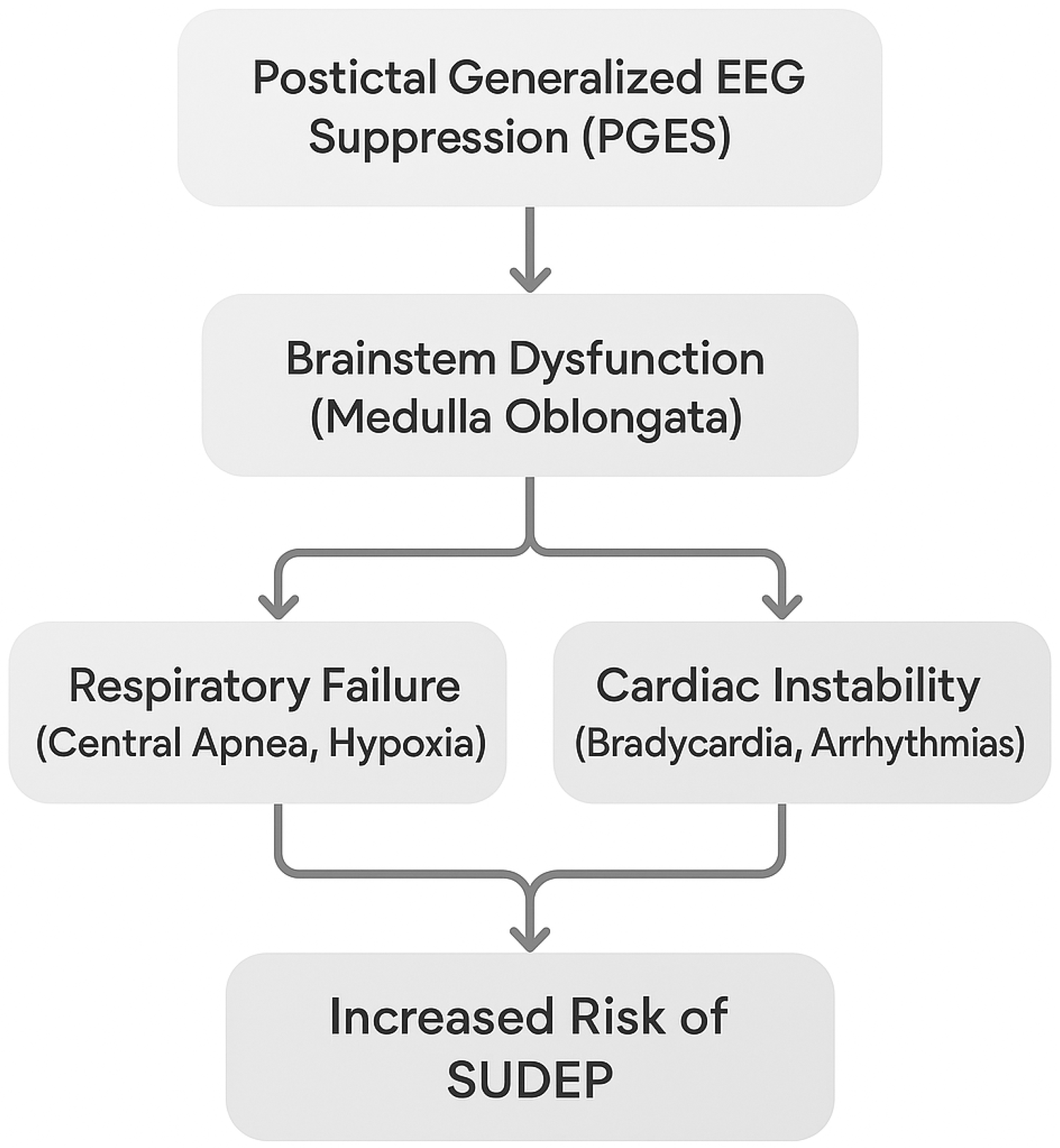 Brainsci 15 00809 g005 Brainsci 15 00809 g005