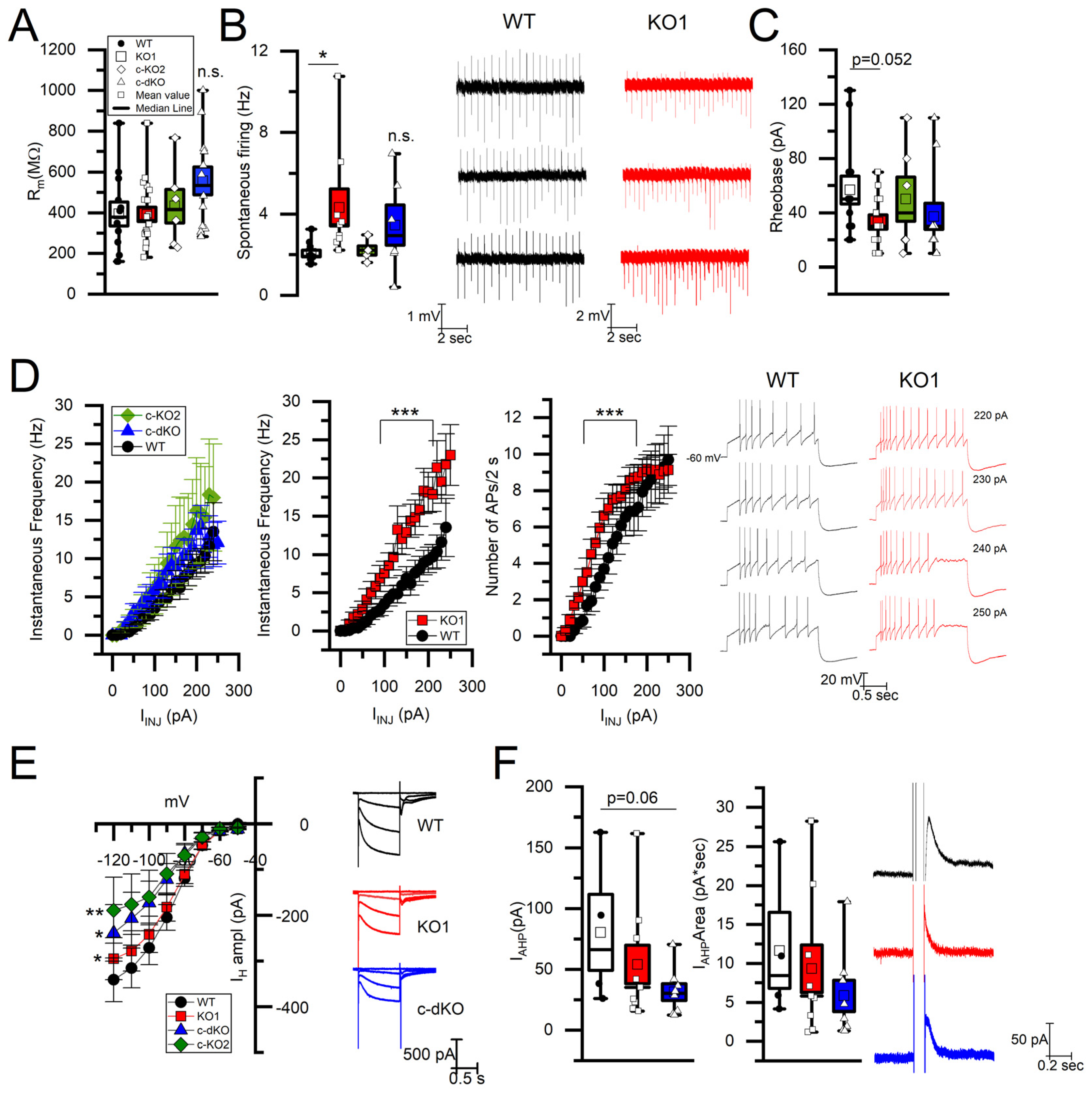 Brainsci 15 01080 g001 Brainsci 15 01080 g001