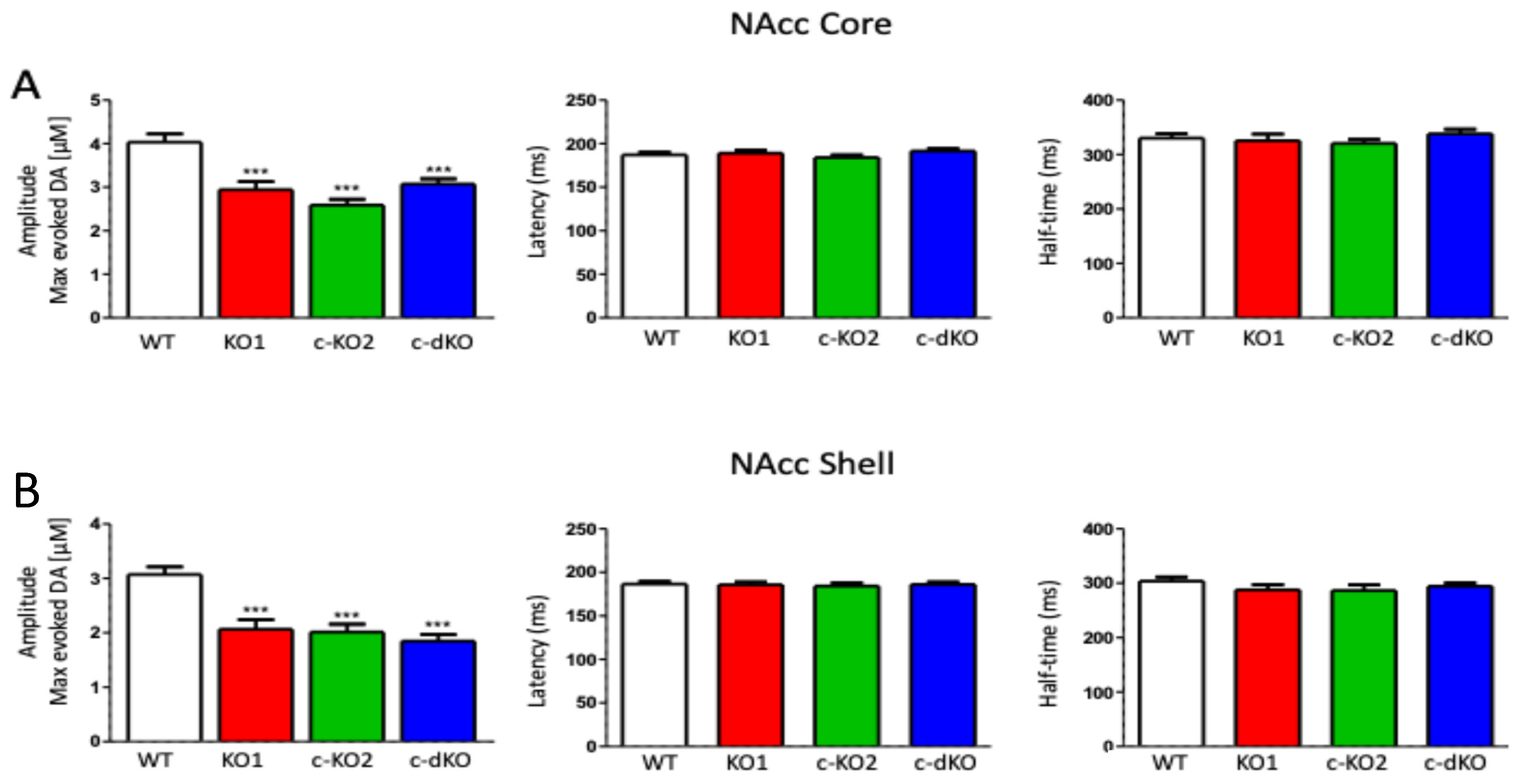 Brainsci 15 01080 g002 Brainsci 15 01080 g002