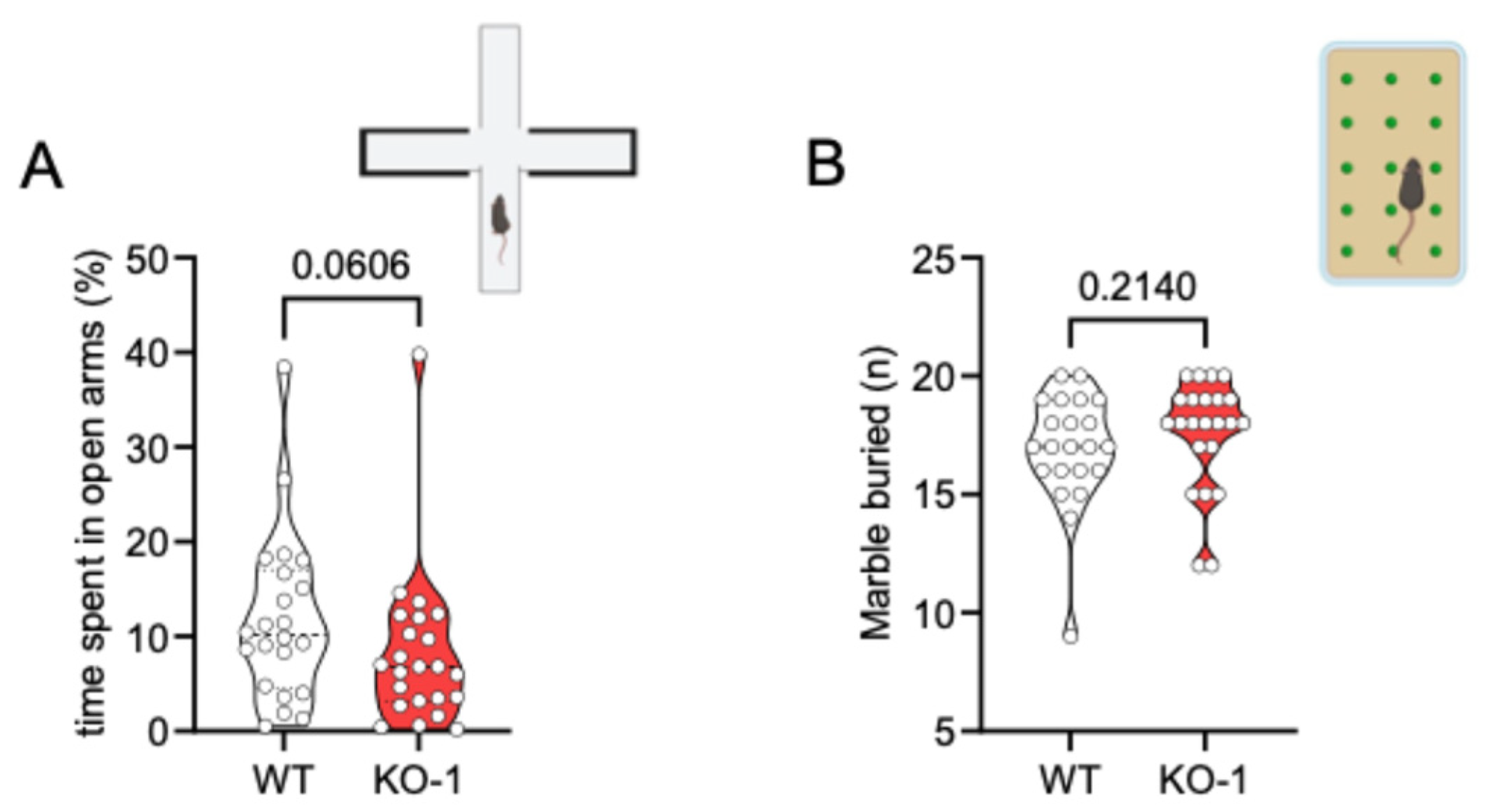 Brainsci 15 01080 g003 Brainsci 15 01080 g003