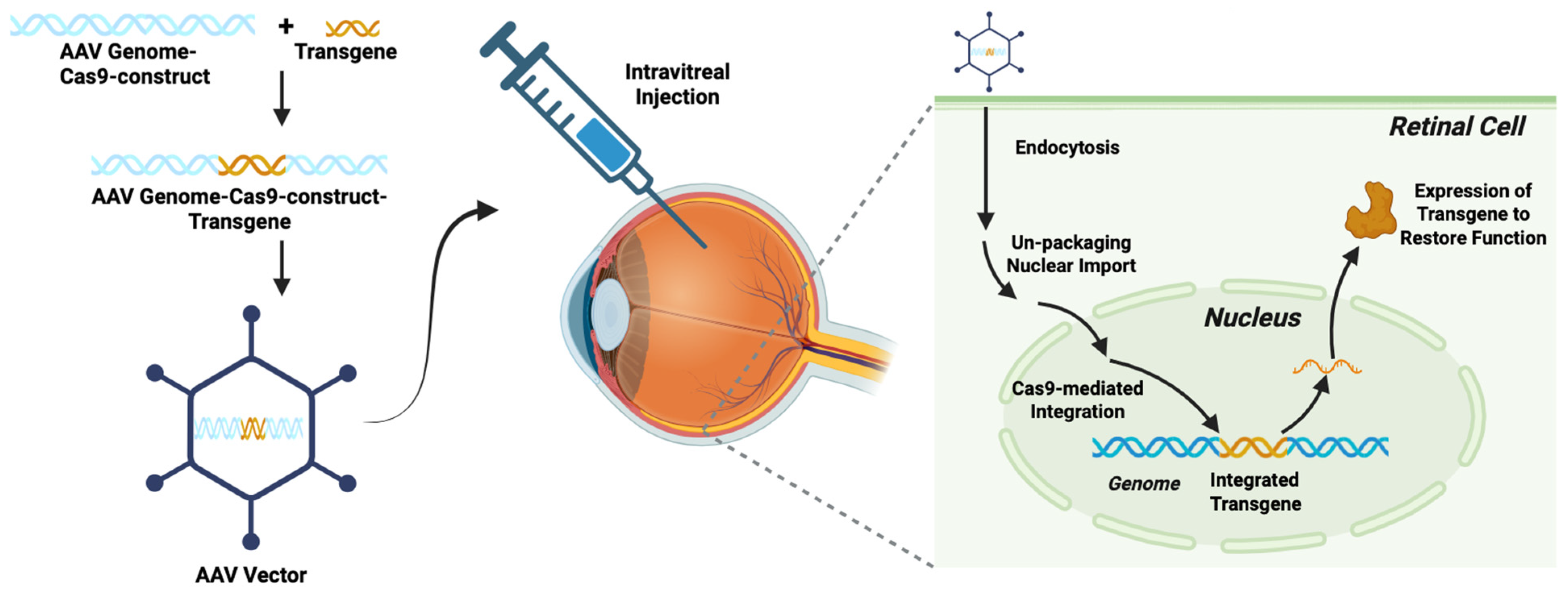 Brainsci 15 01170 g003 Brainsci 15 01170 g003