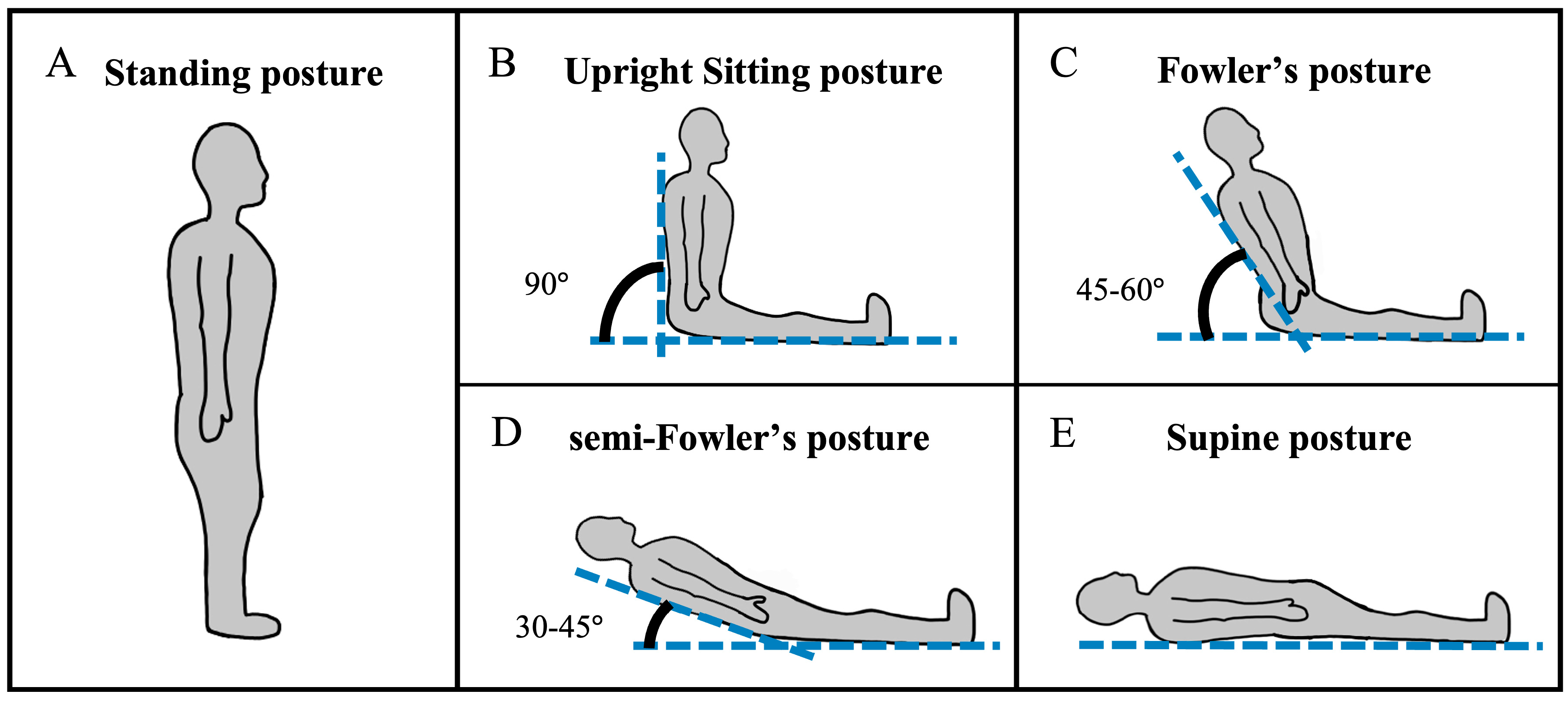 Brainsci 15 01172 g001 Brainsci 15 01172 g001
