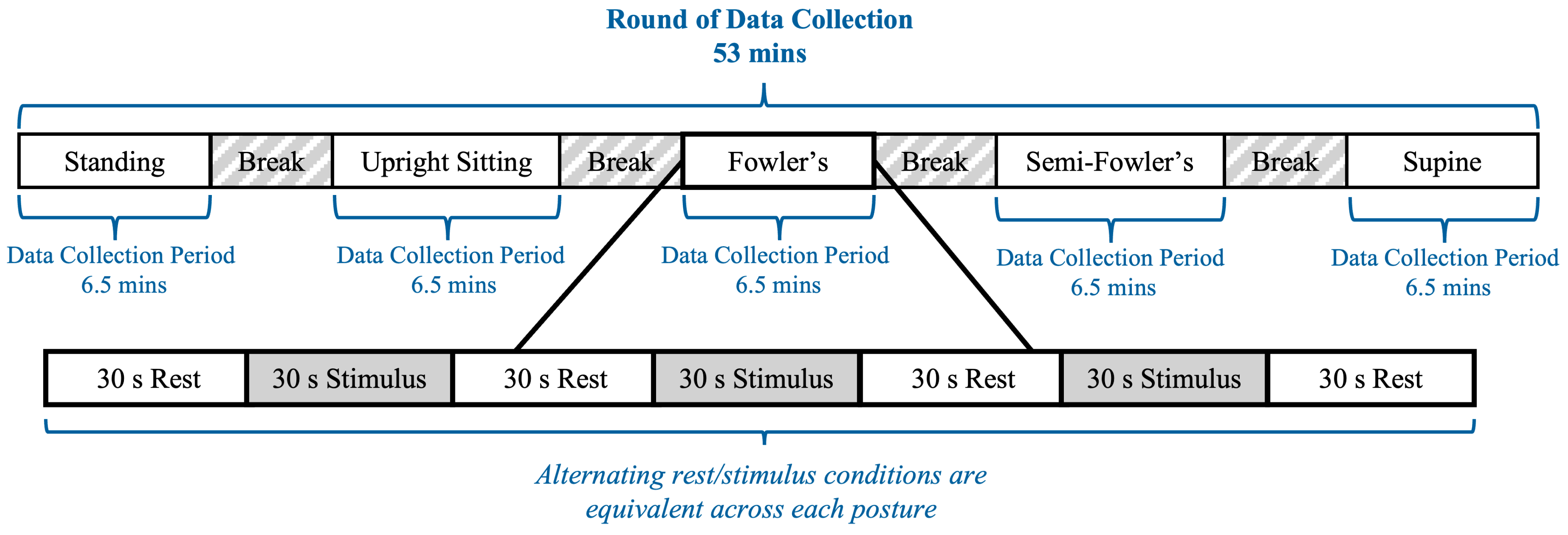 Brainsci 15 01172 g005 Brainsci 15 01172 g005
