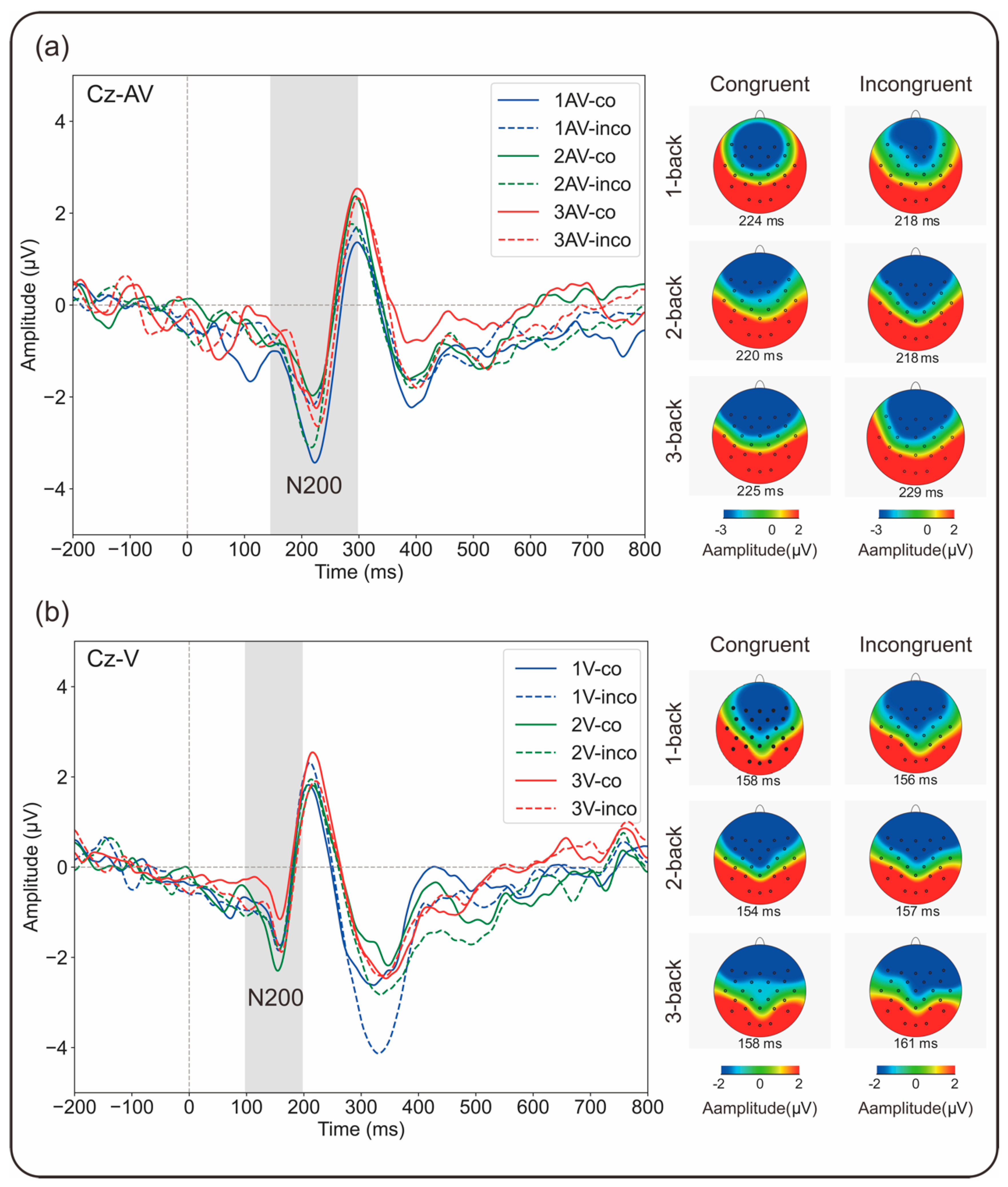 Brainsci 15 01178 g005 Brainsci 15 01178 g005