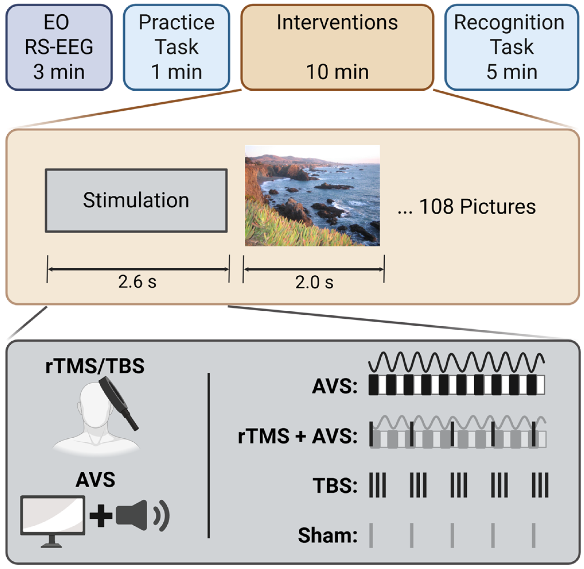 Brainsci 15 01182 g001 Brainsci 15 01182 g001