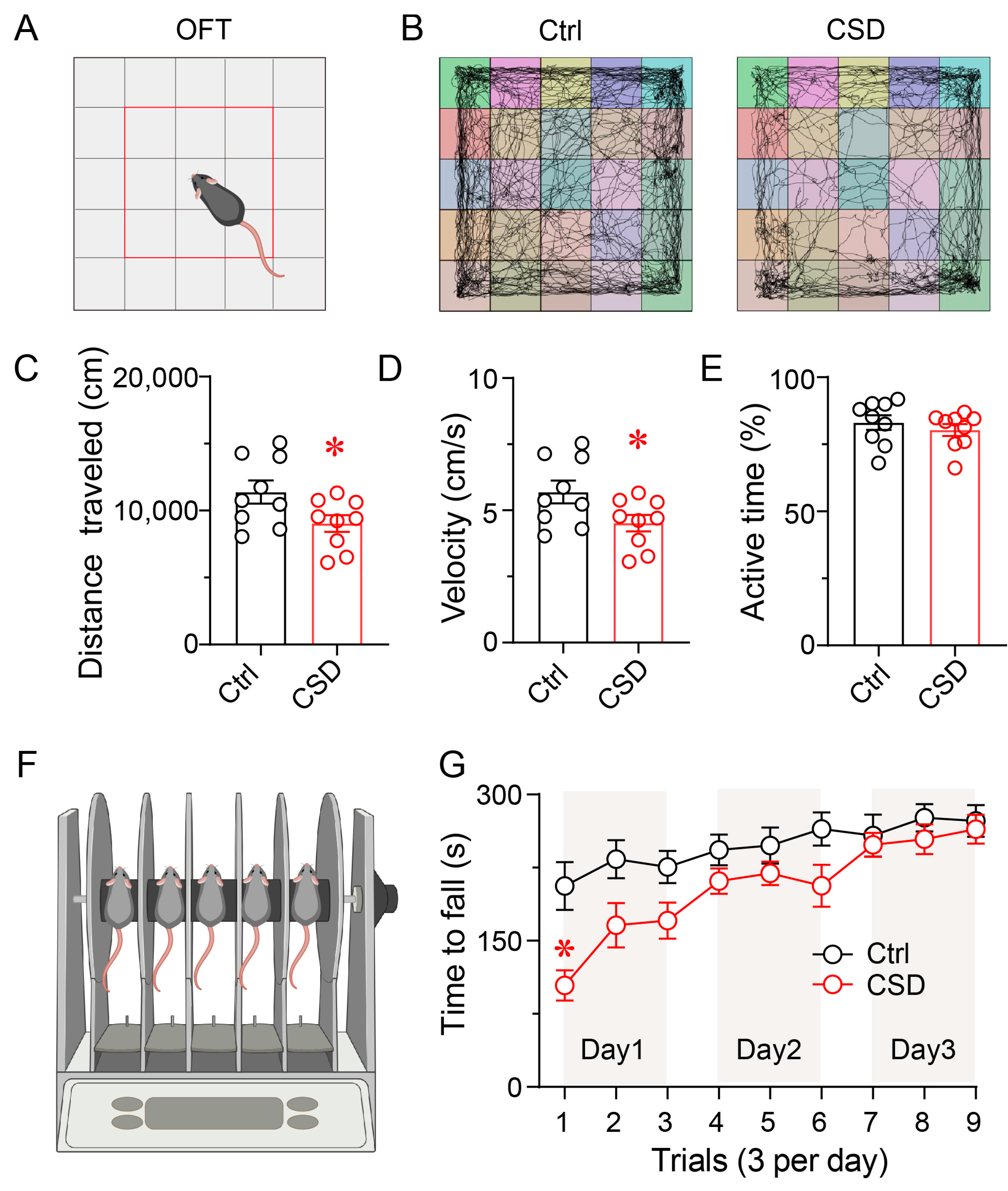 Brainsci 15 01185 g002 Brainsci 15 01185 g002
